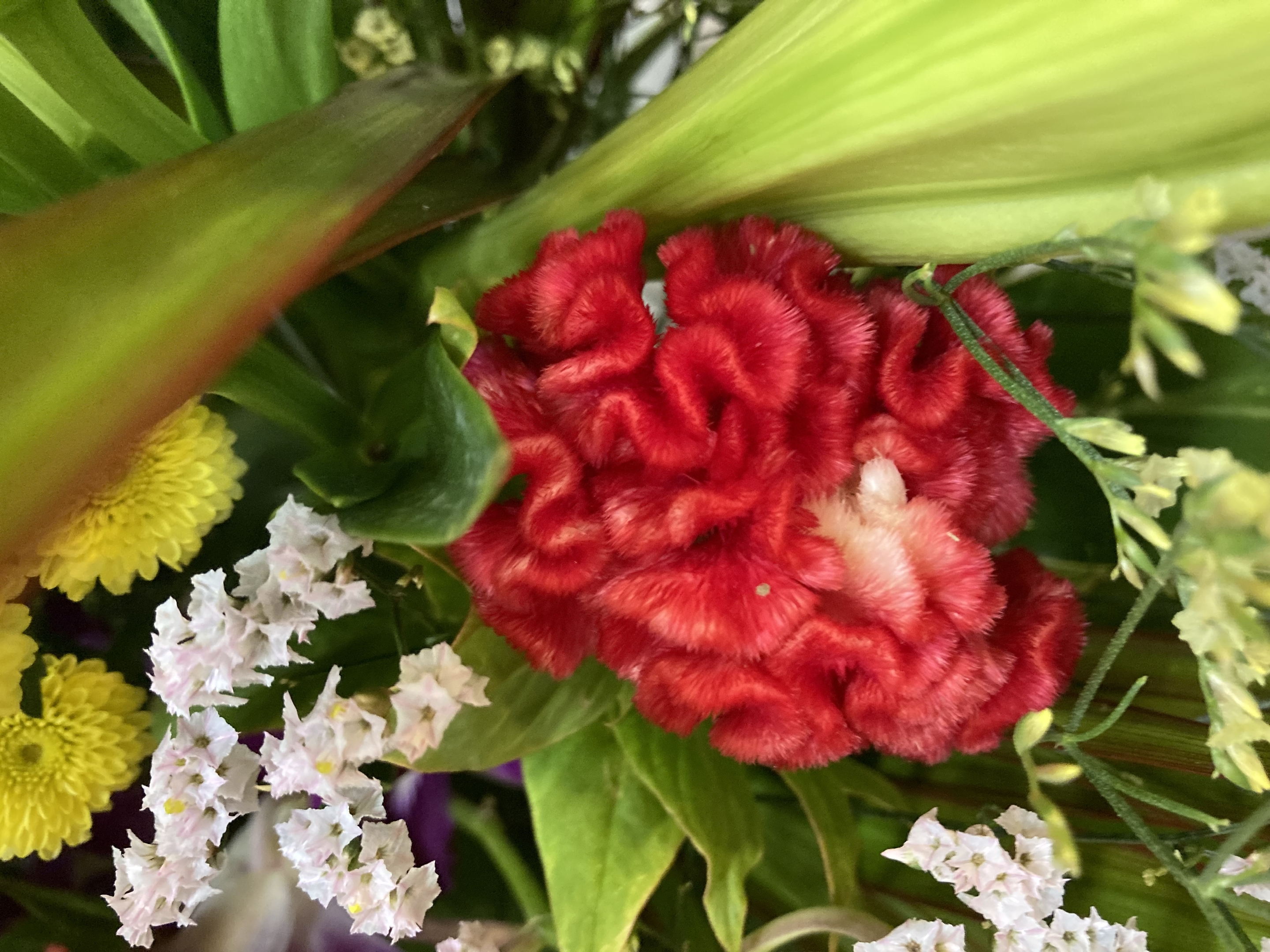 お花