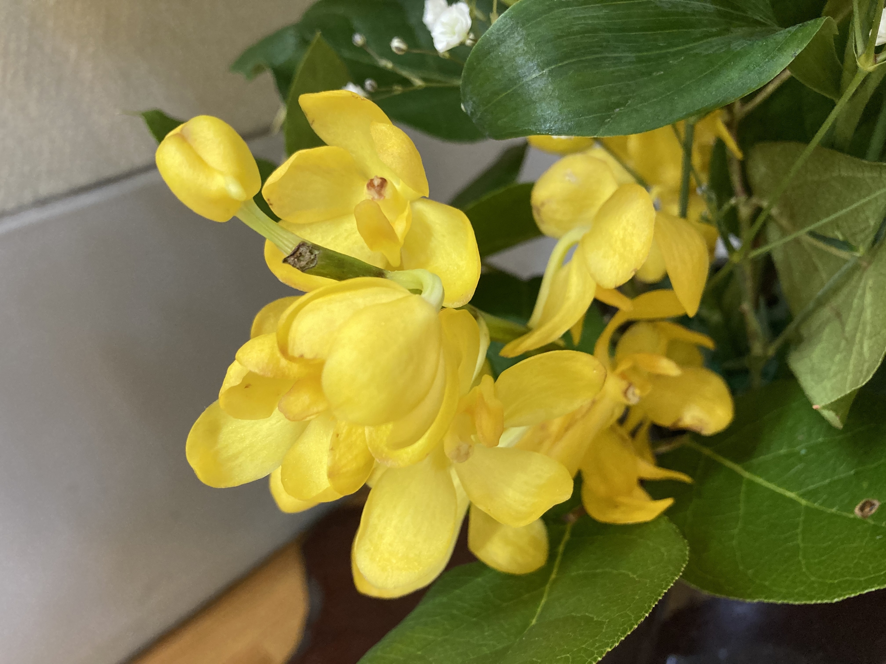 お花