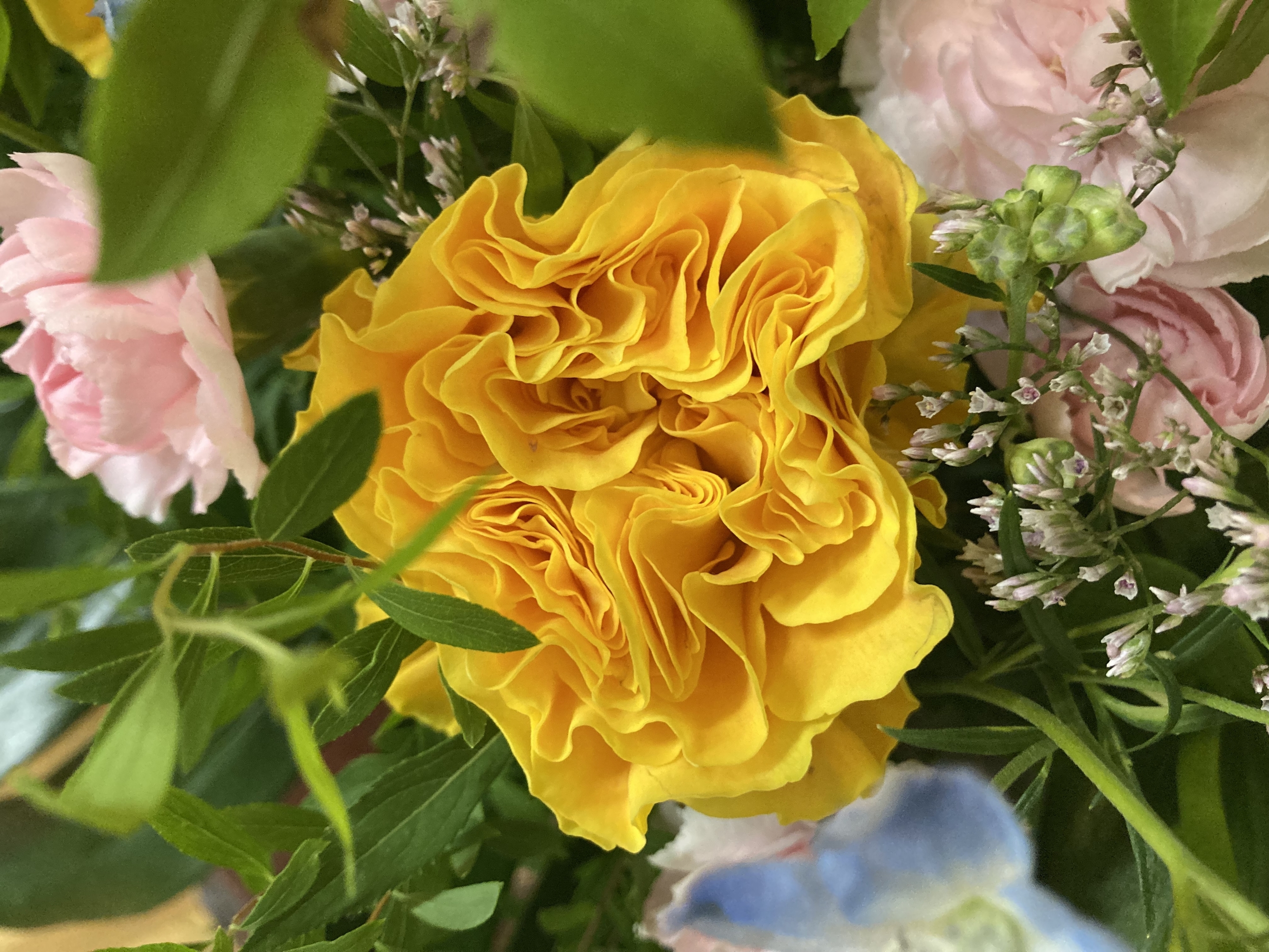 お花