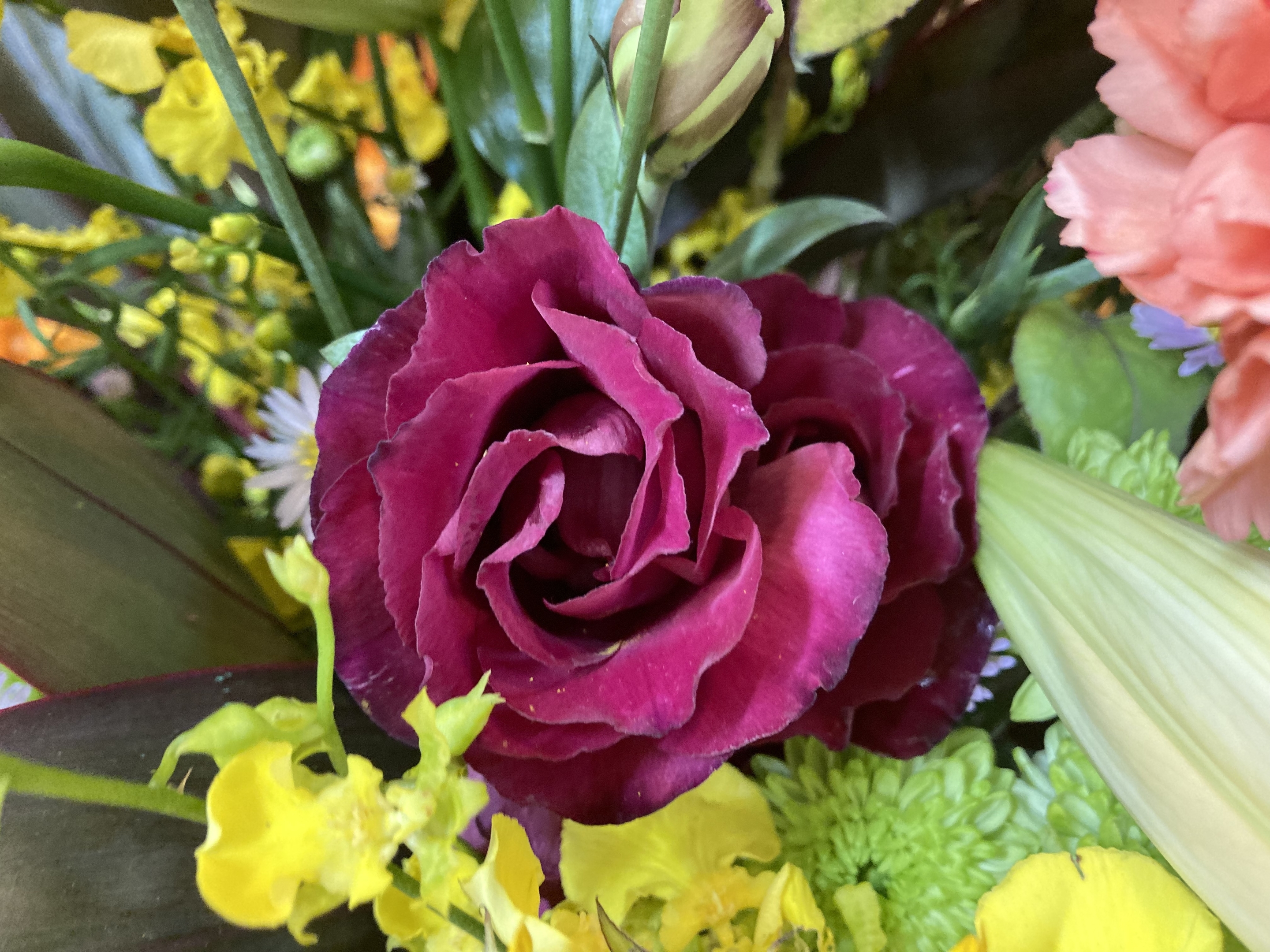 お花
