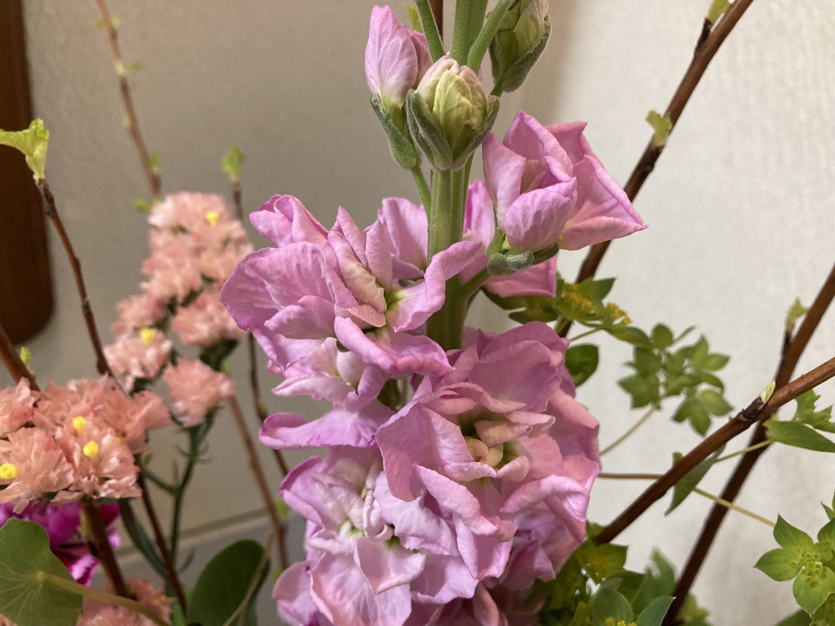 お花