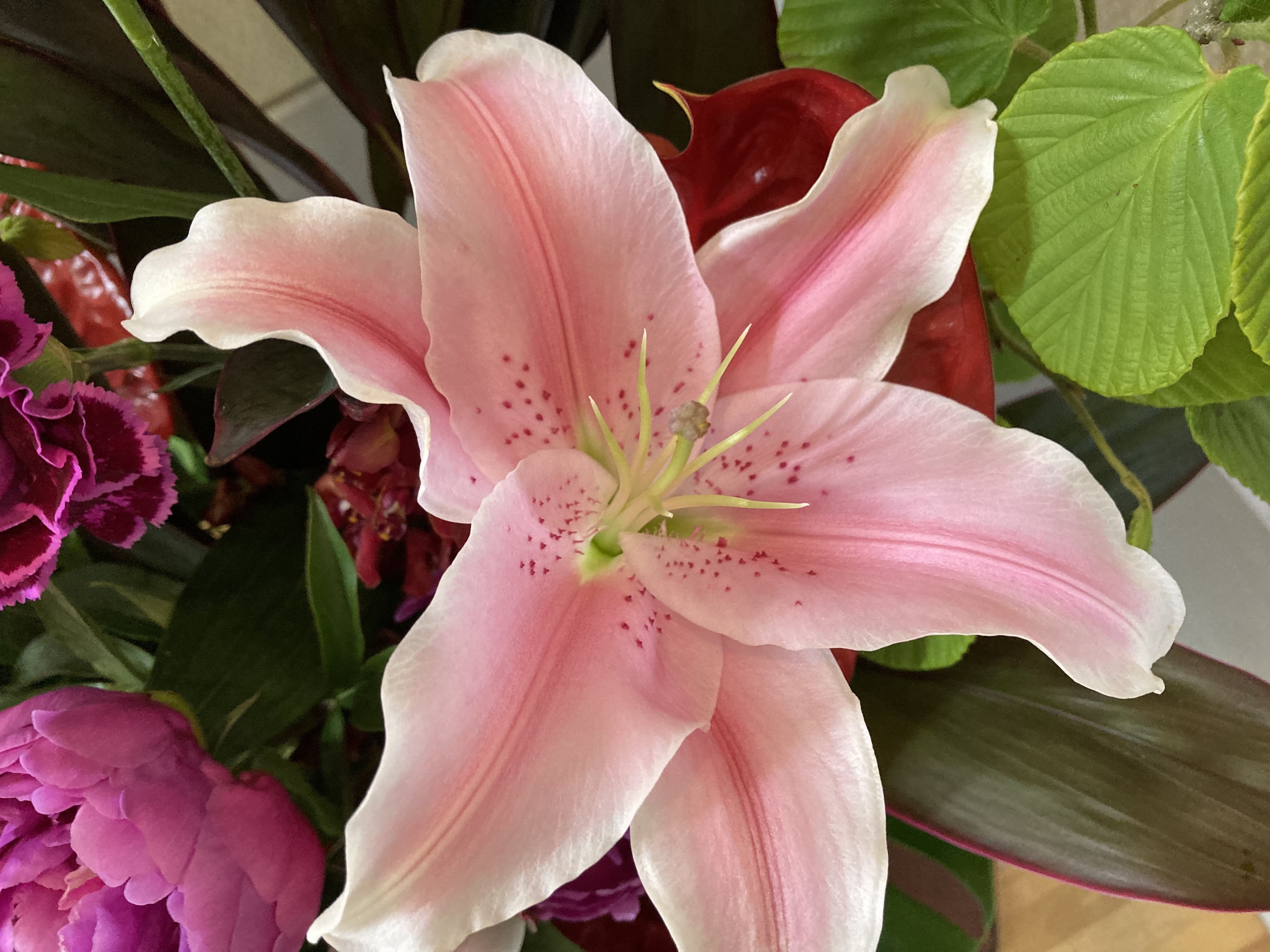 お花