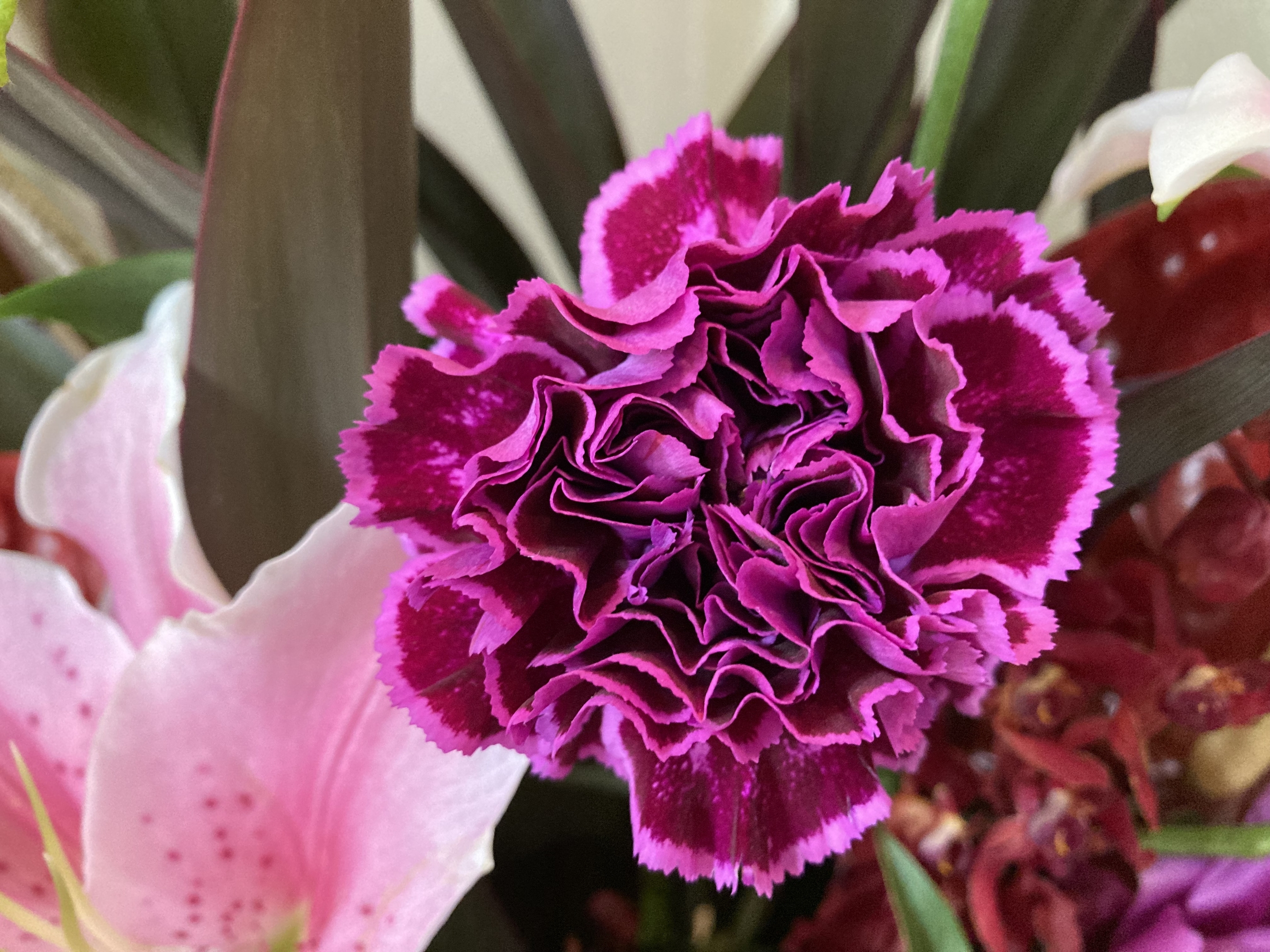 お花