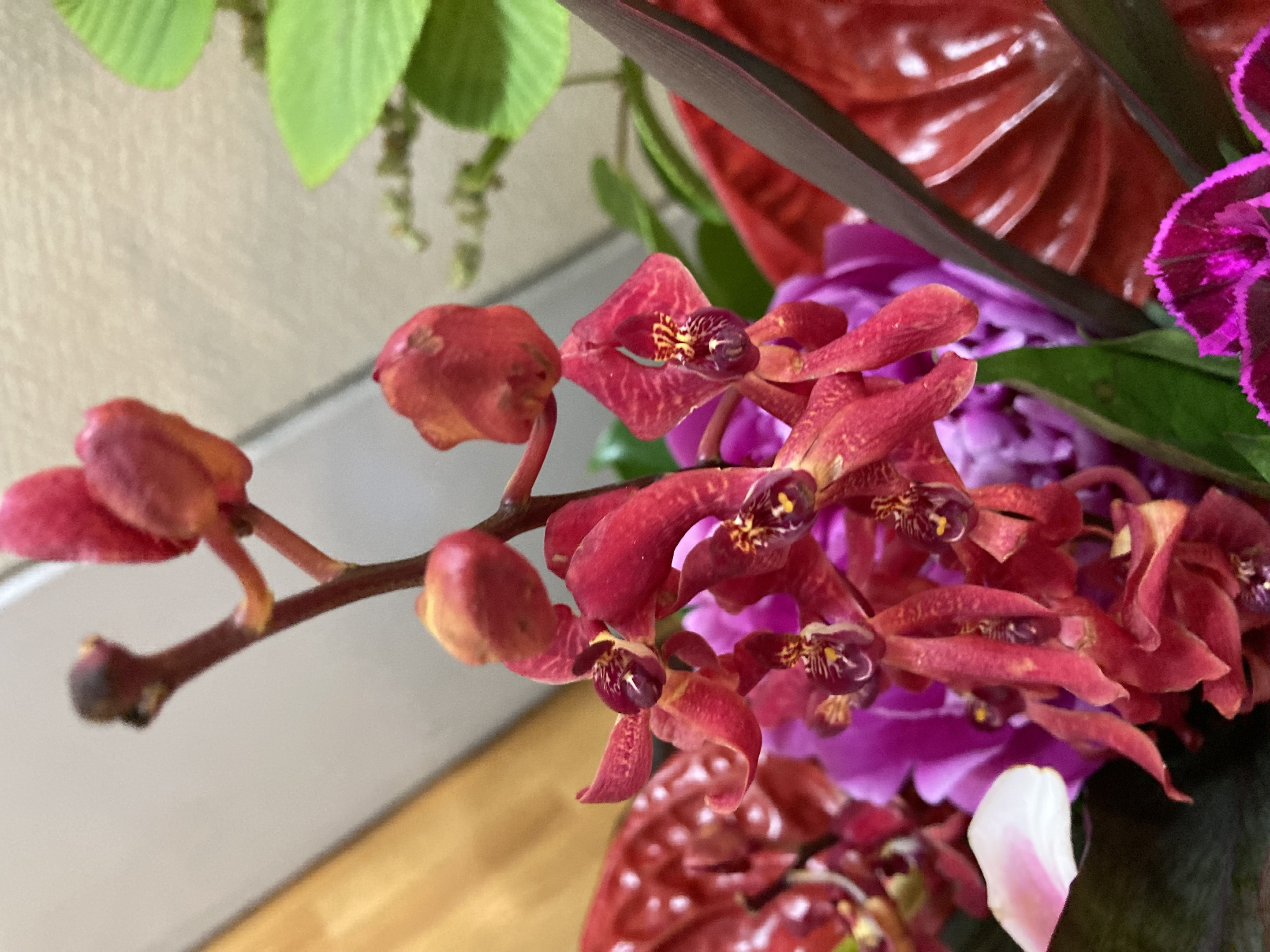 お花