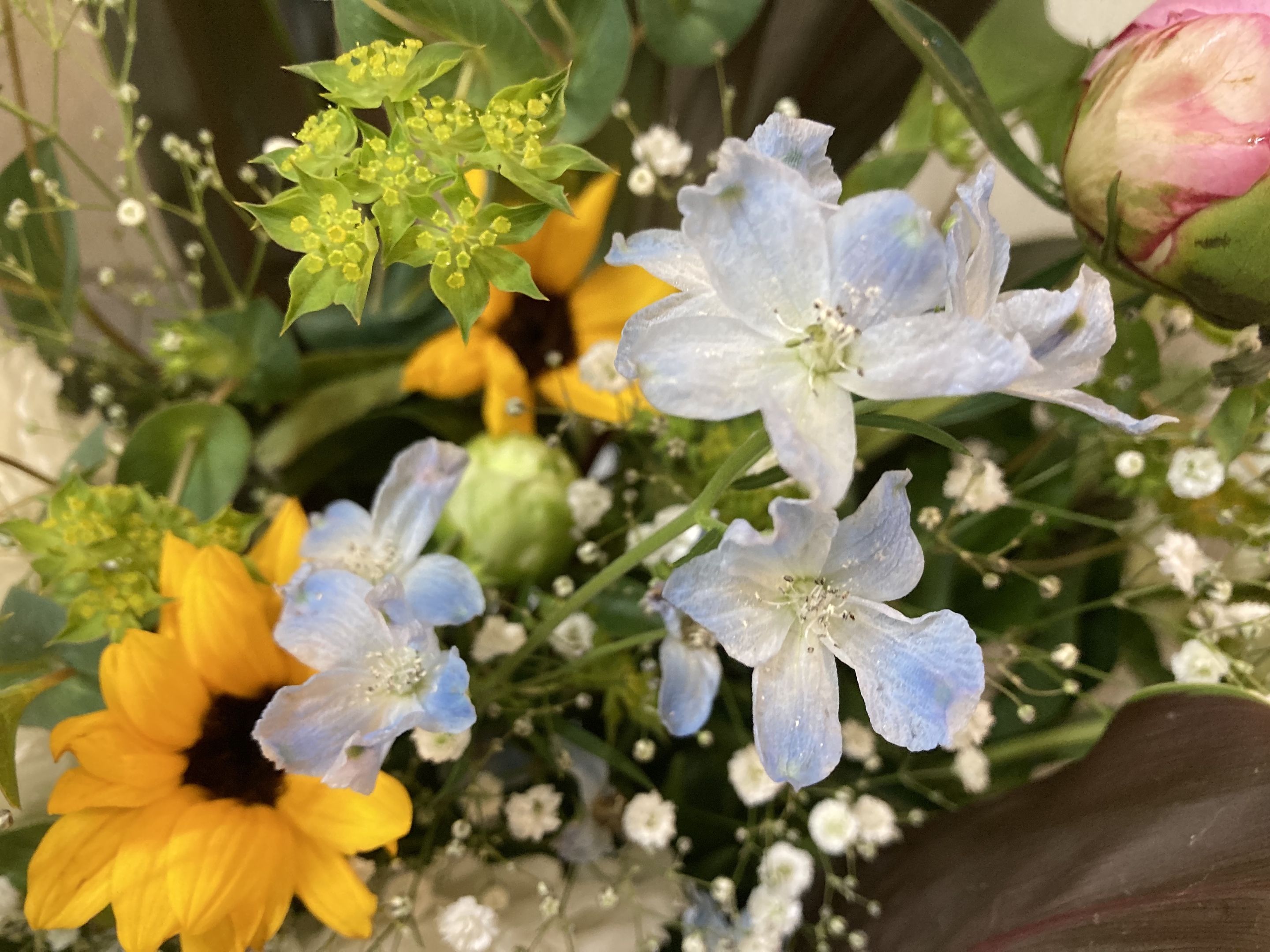 お花