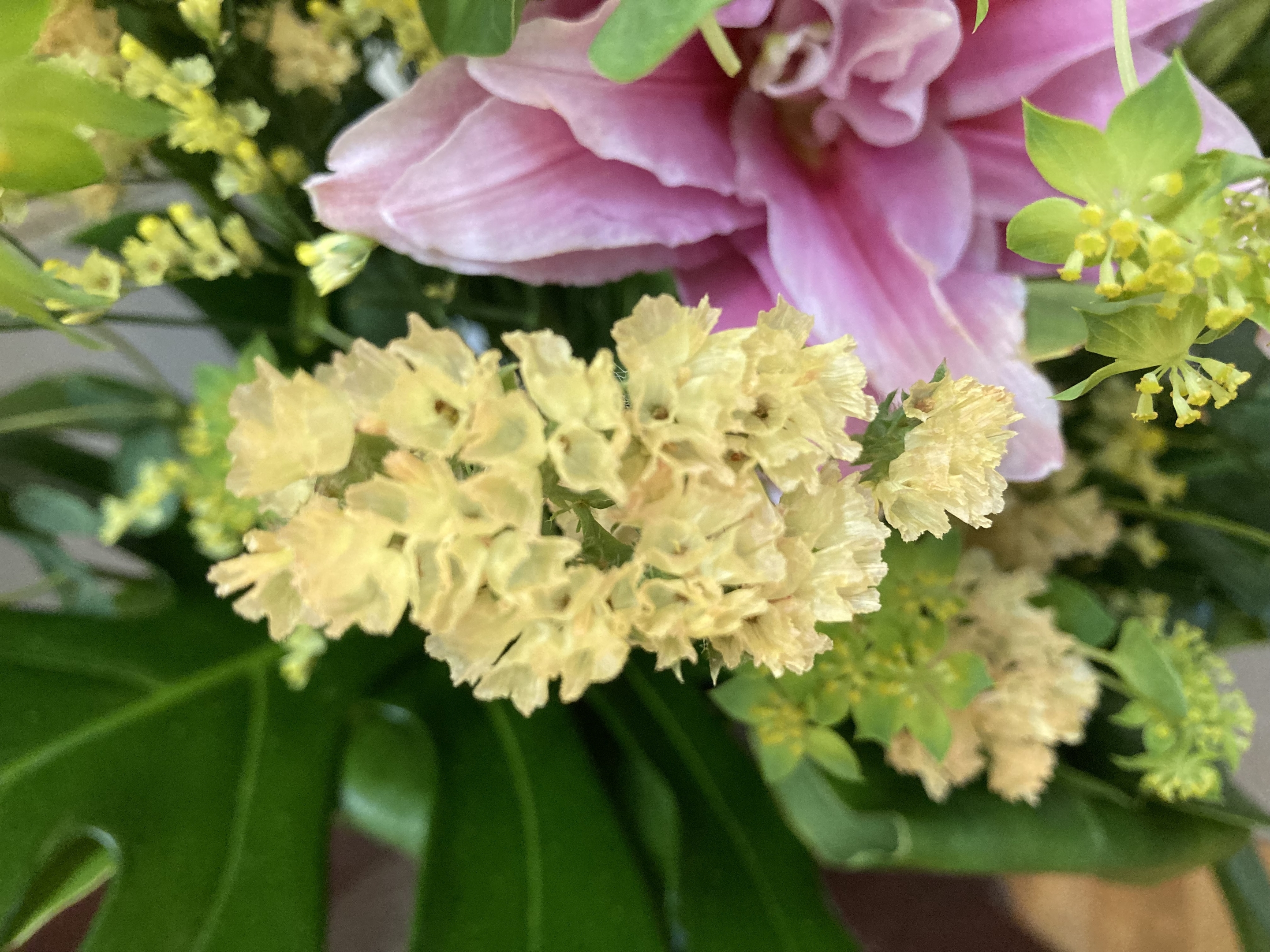 お花