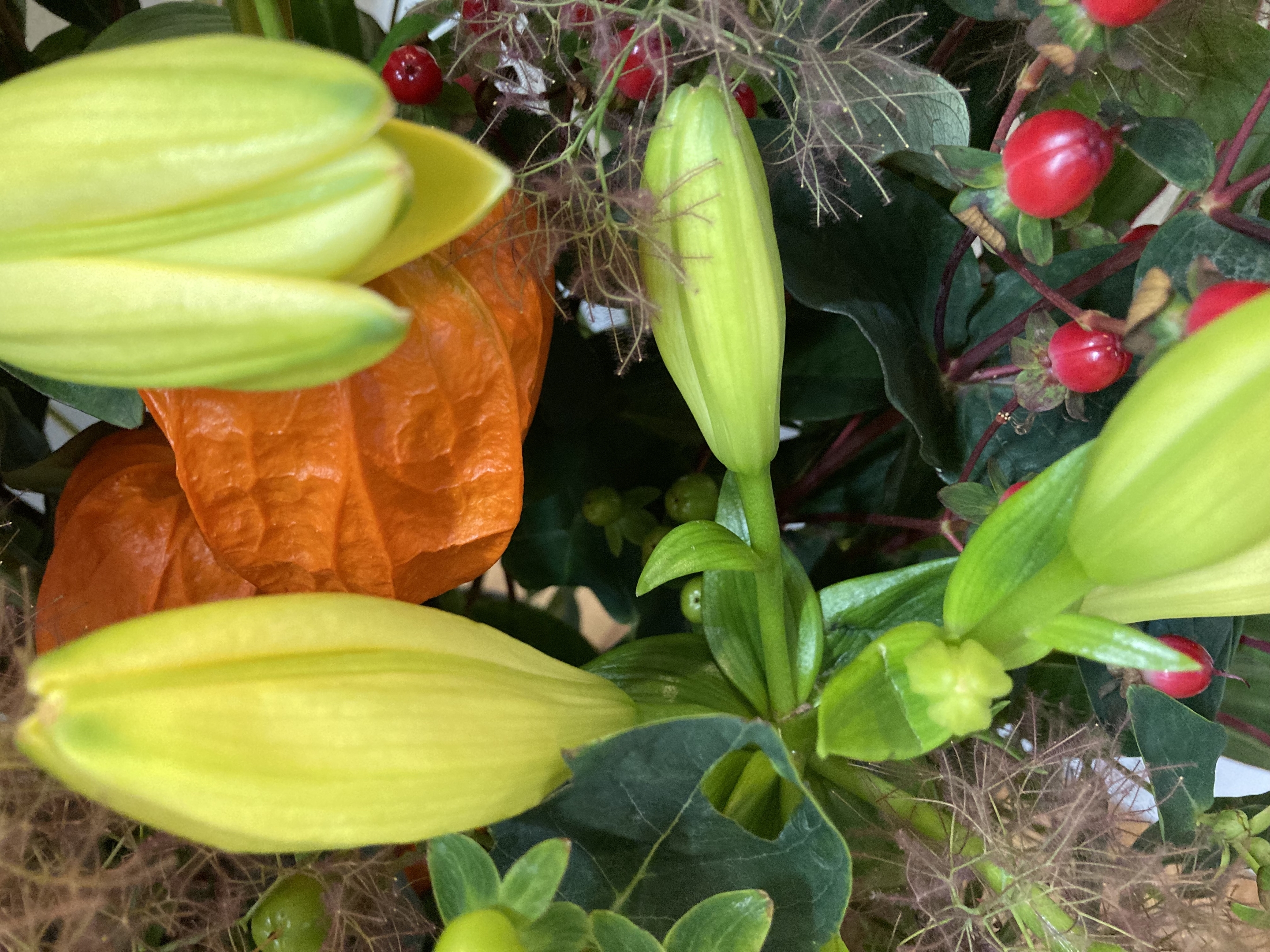お花
