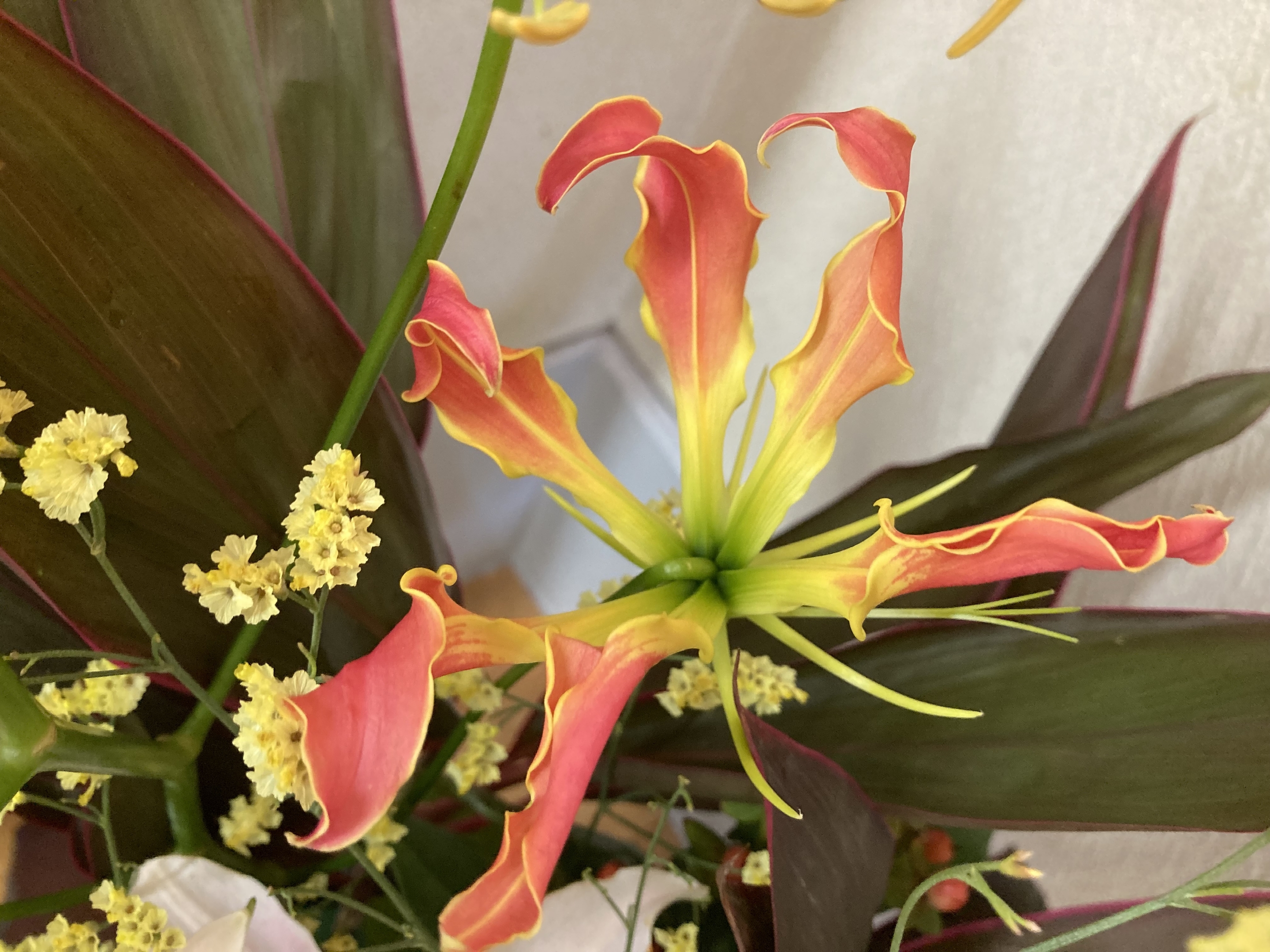 お花