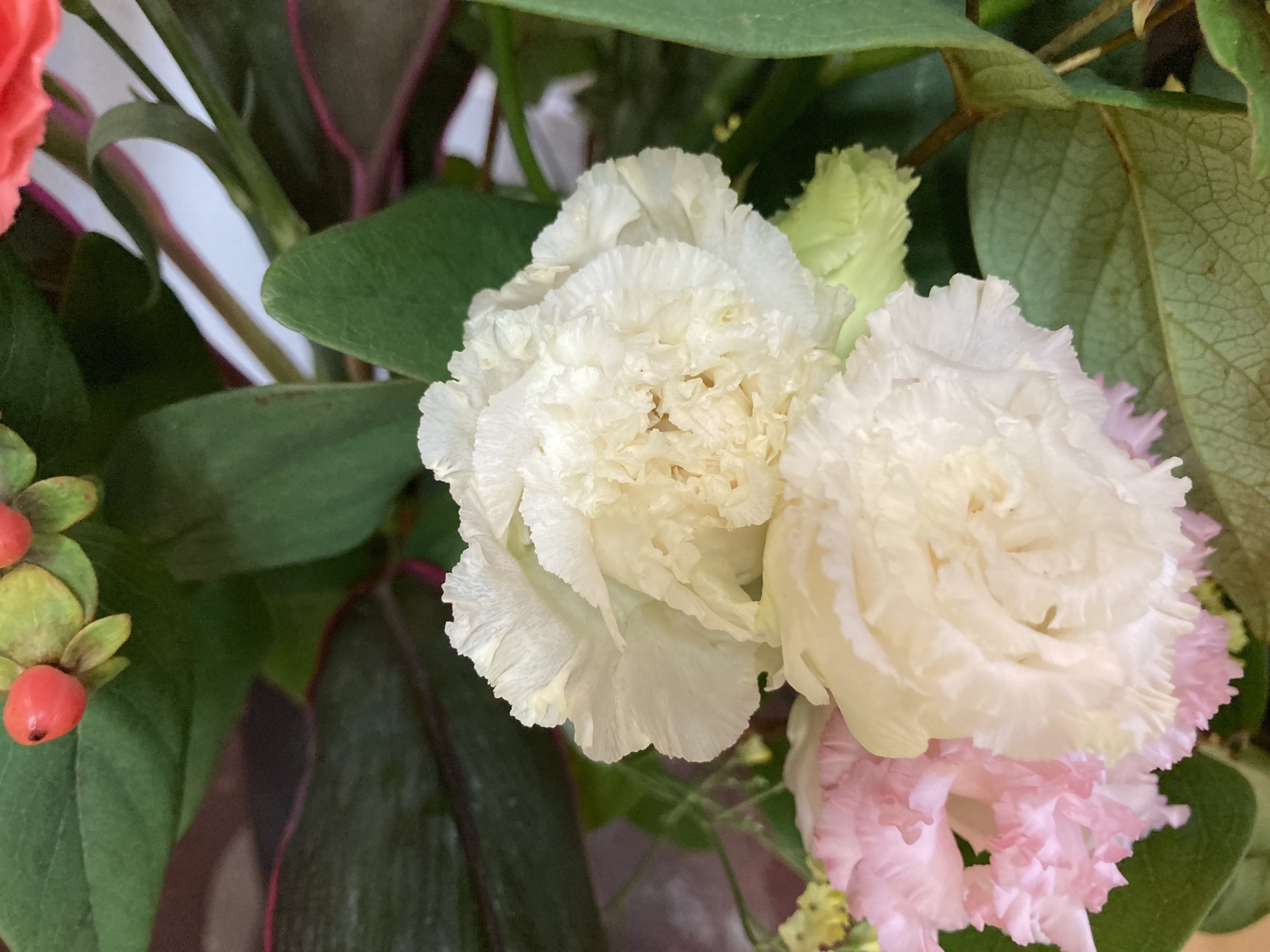 お花