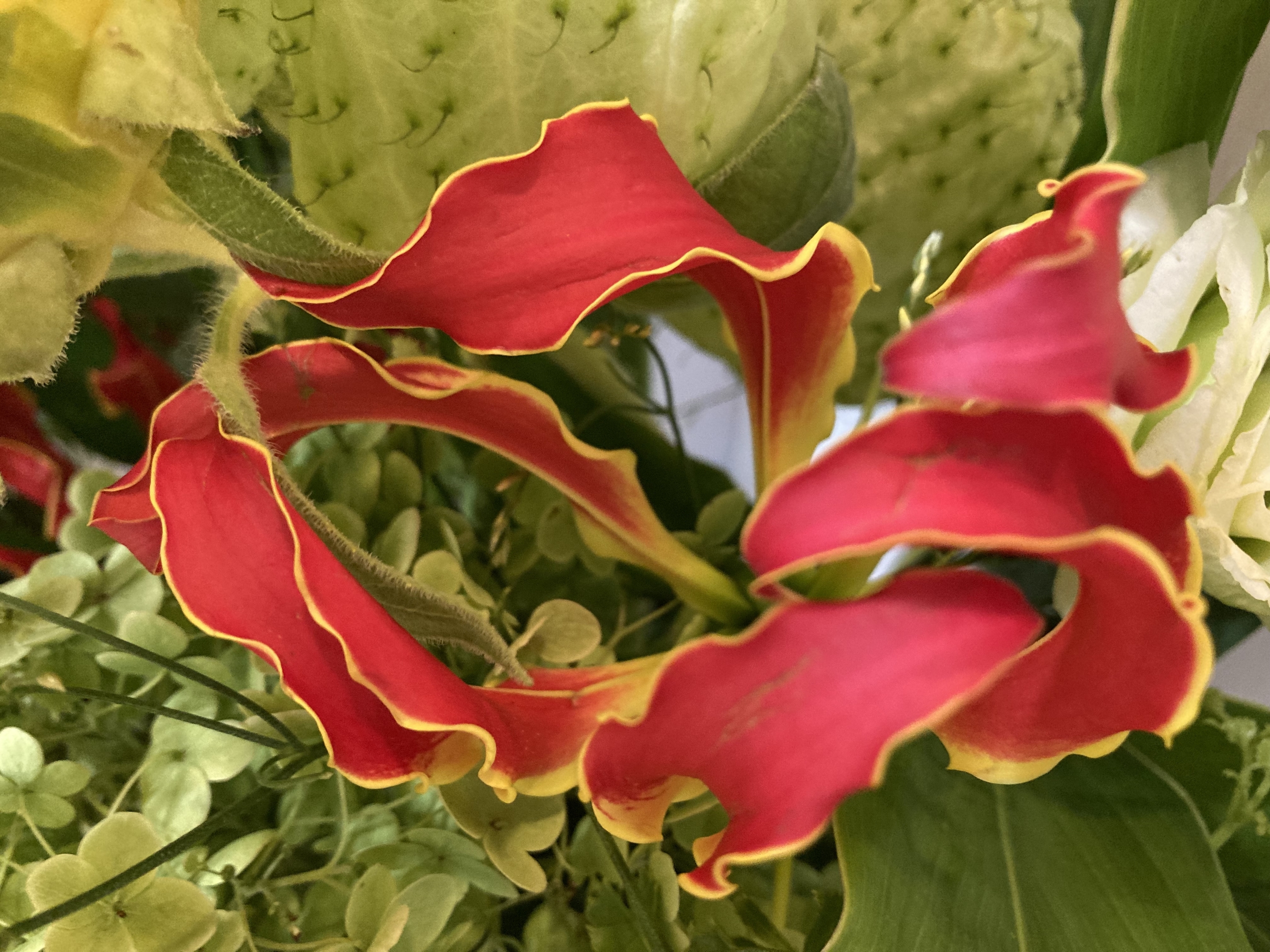 お花
