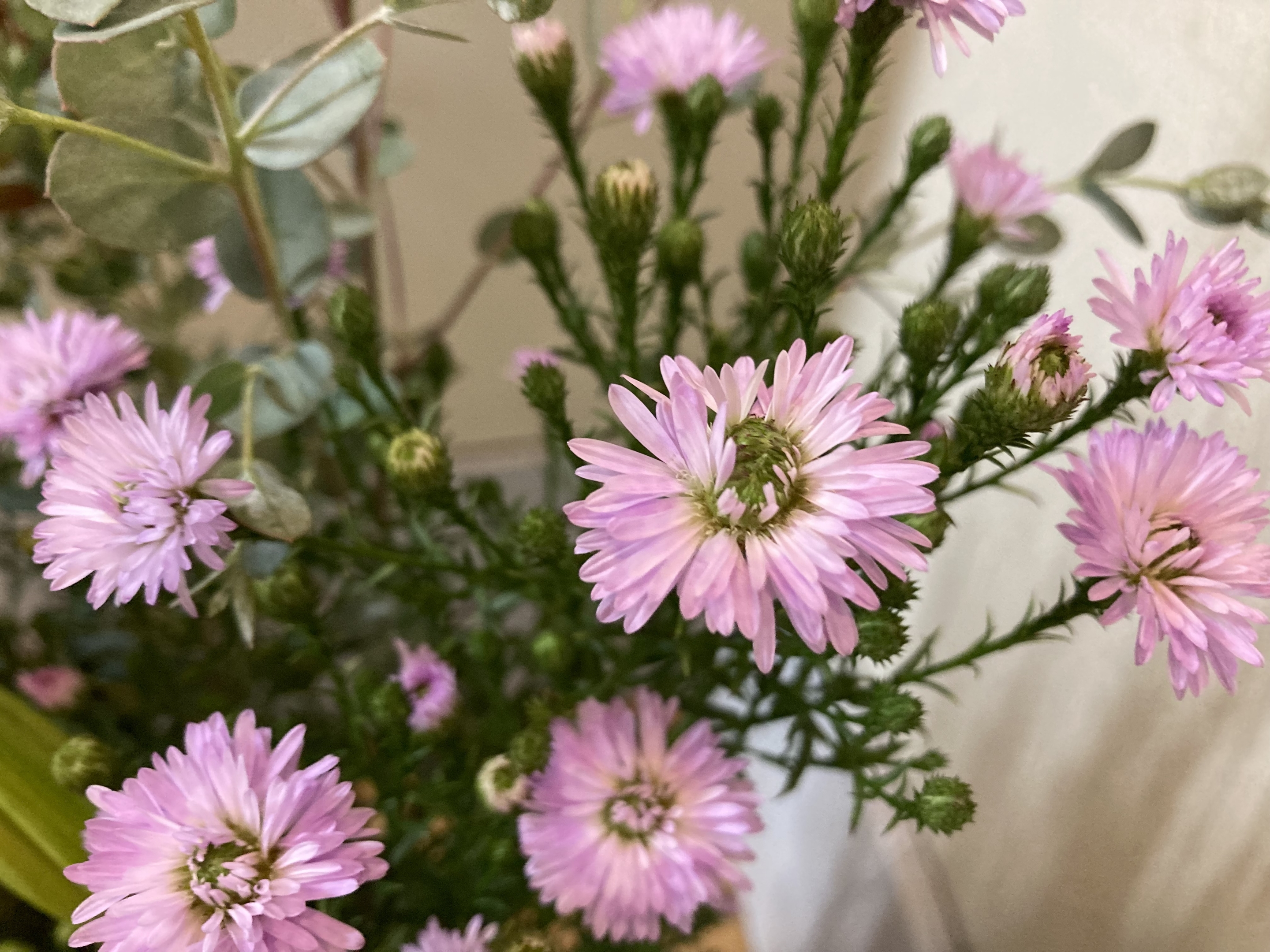 お花