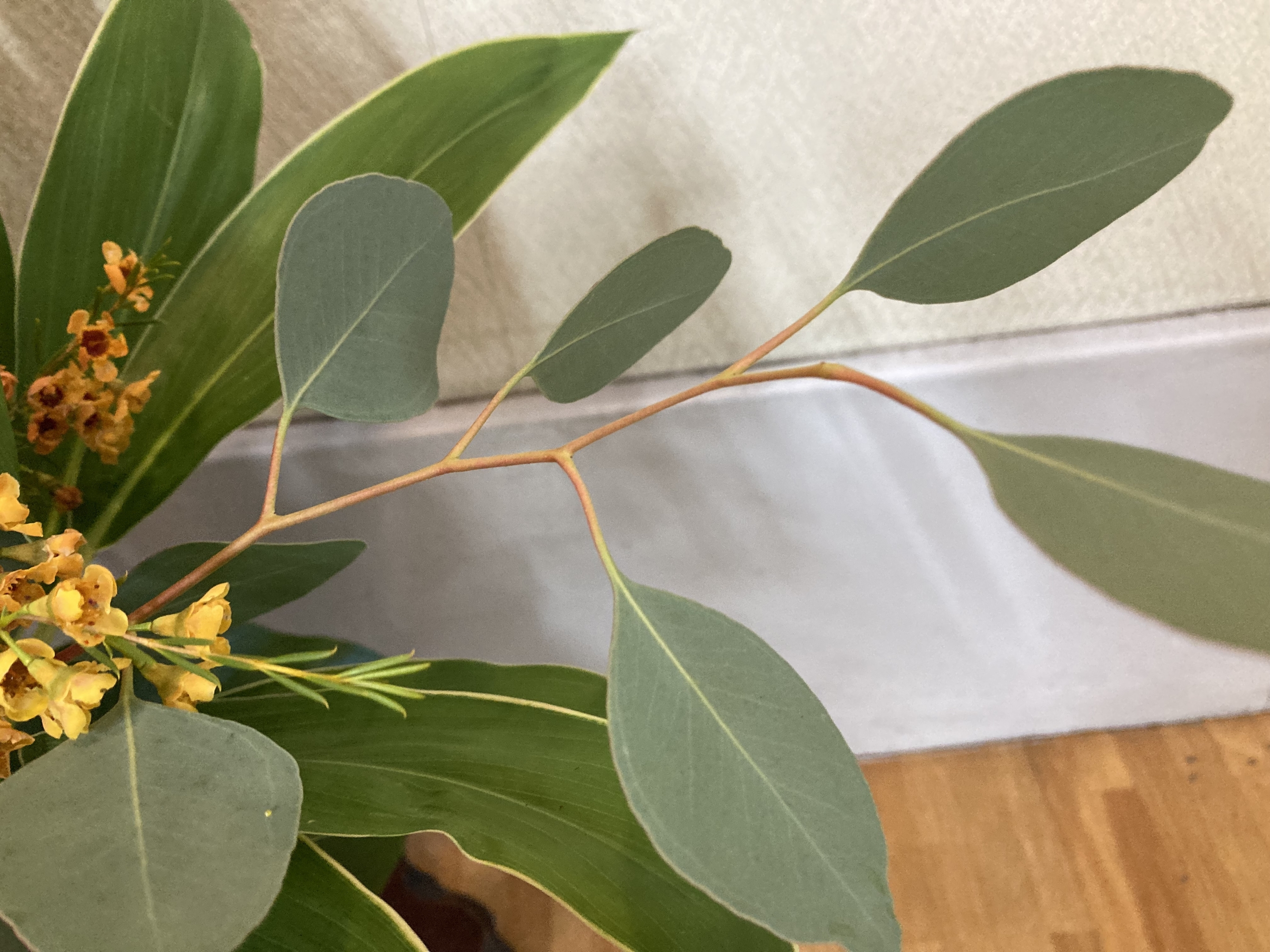 お花
