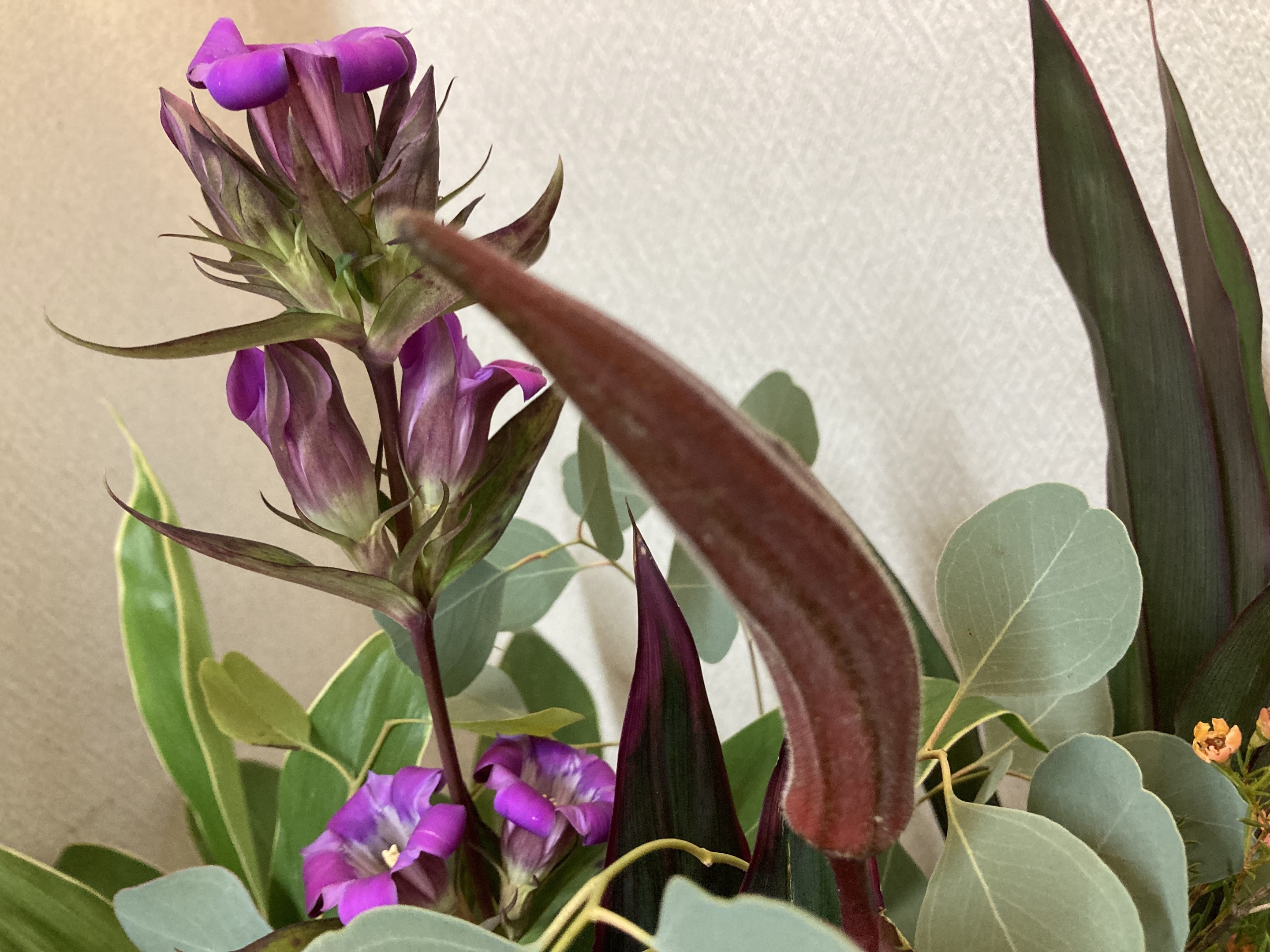 お花