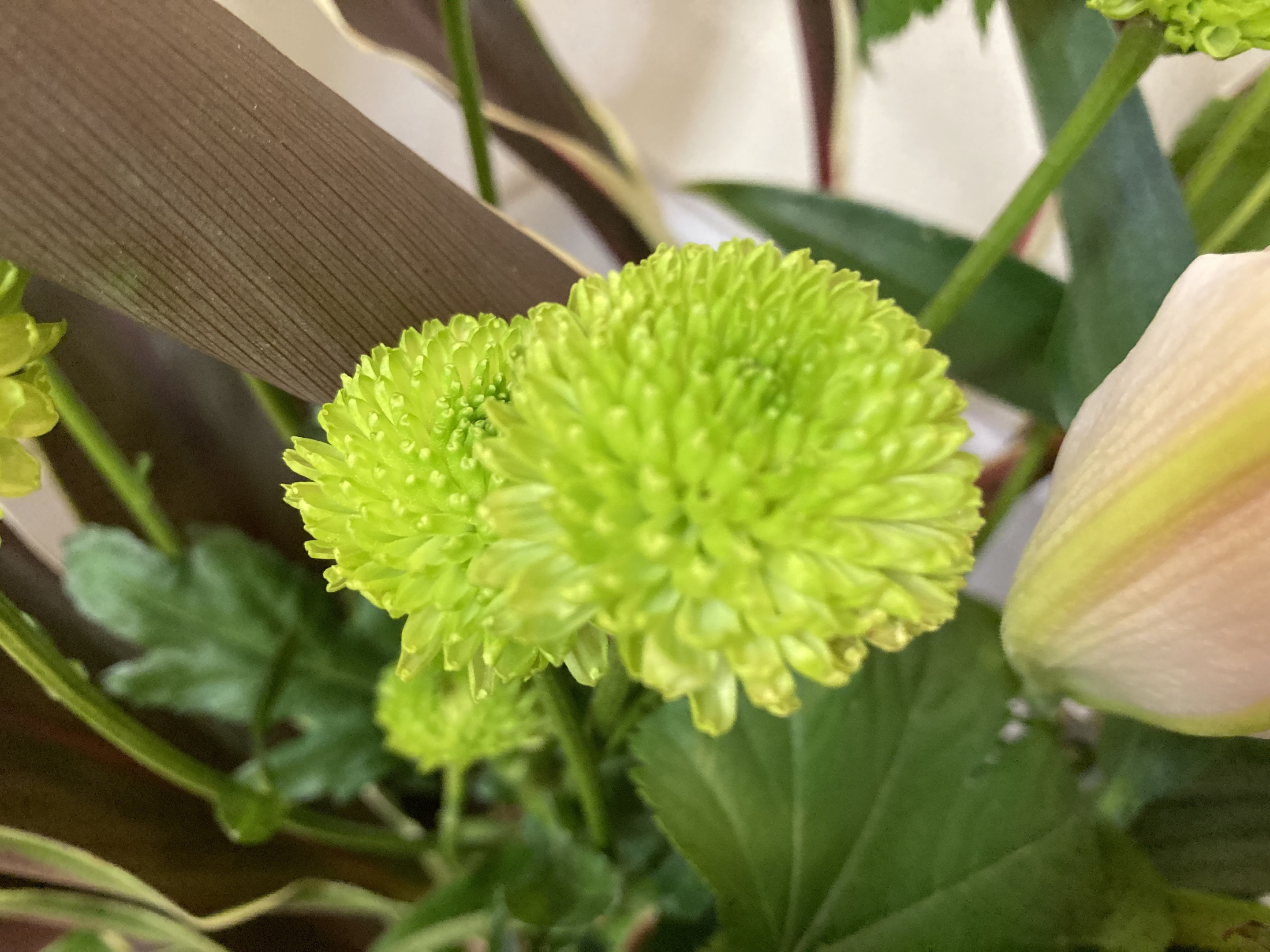 お花