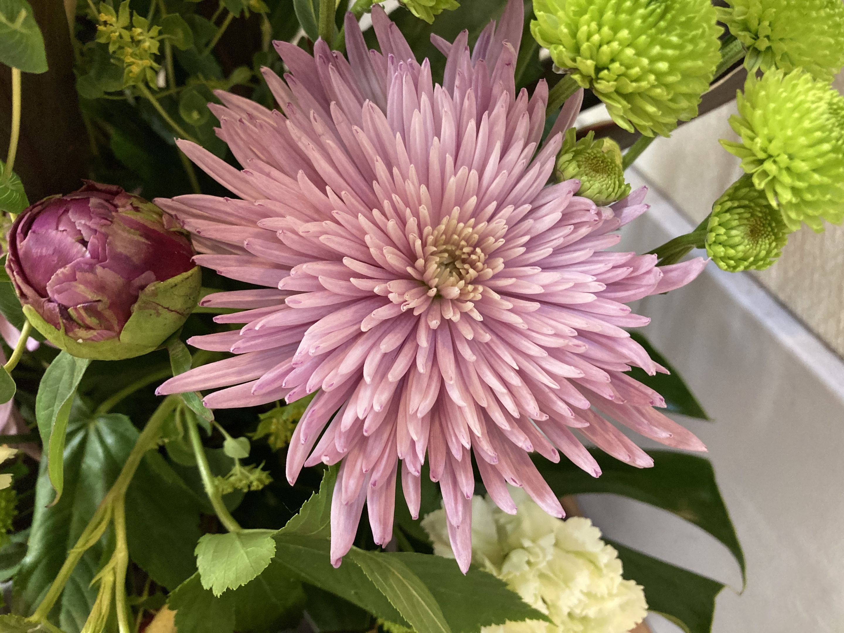 お花