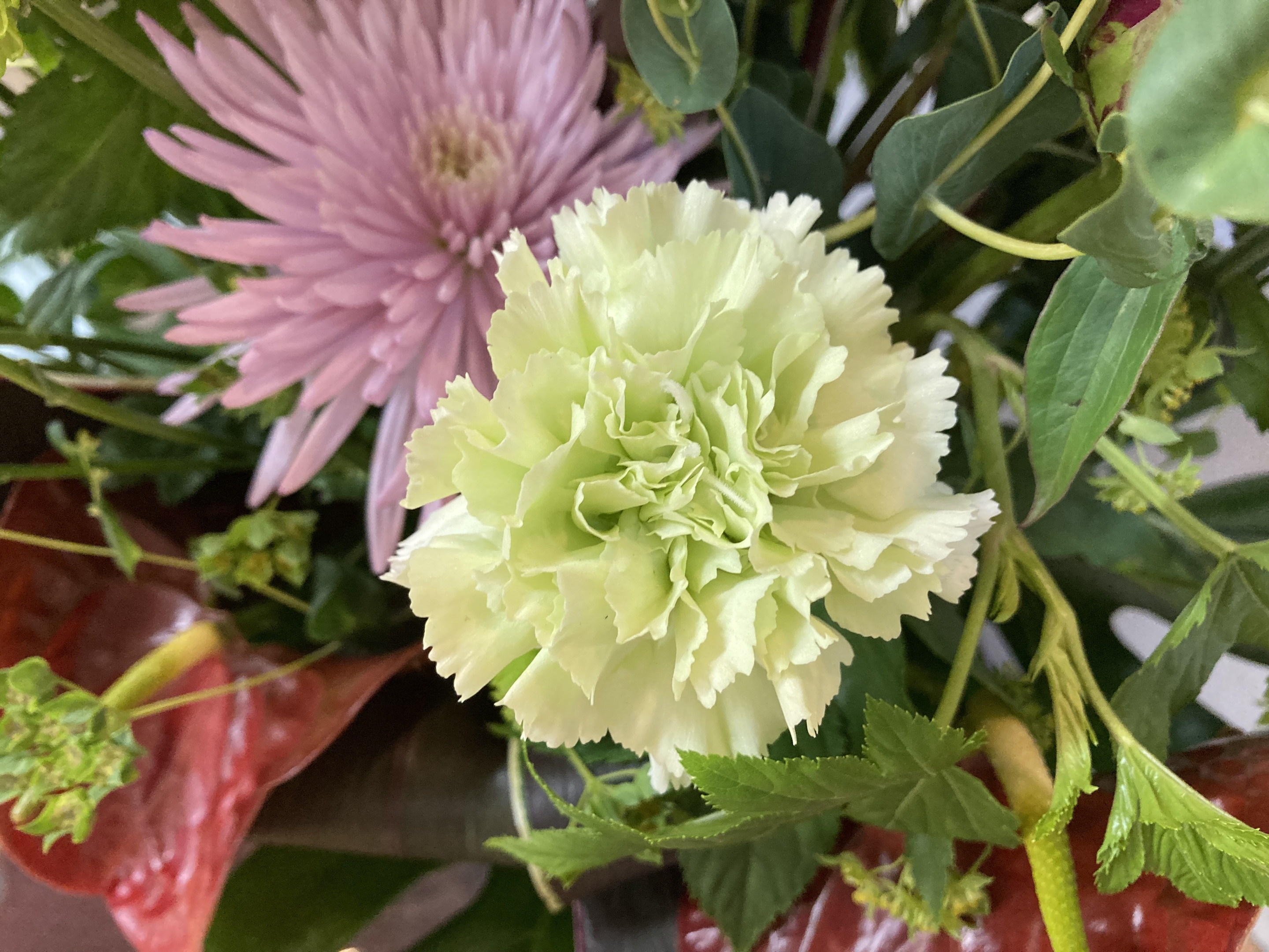 お花