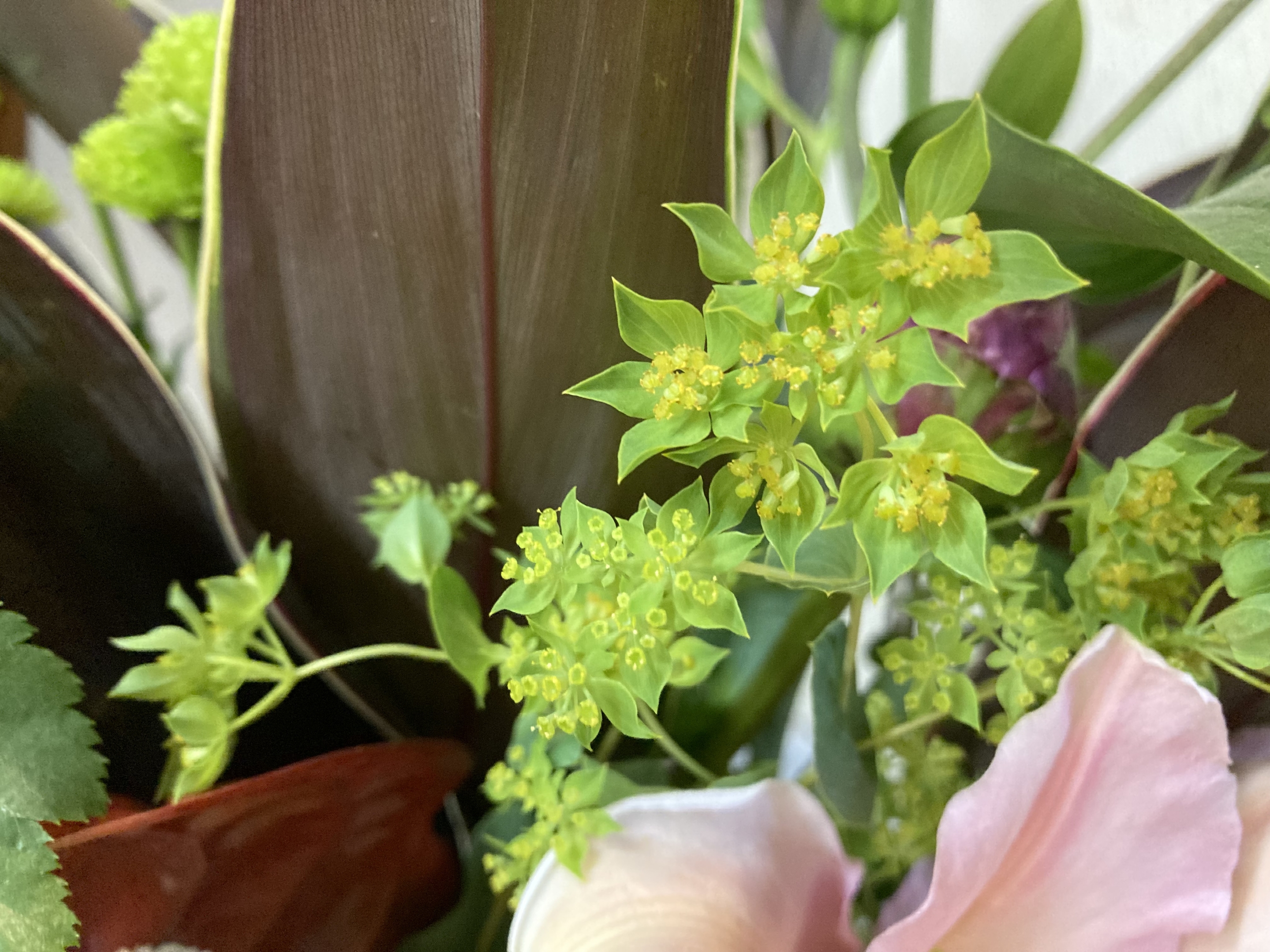 お花