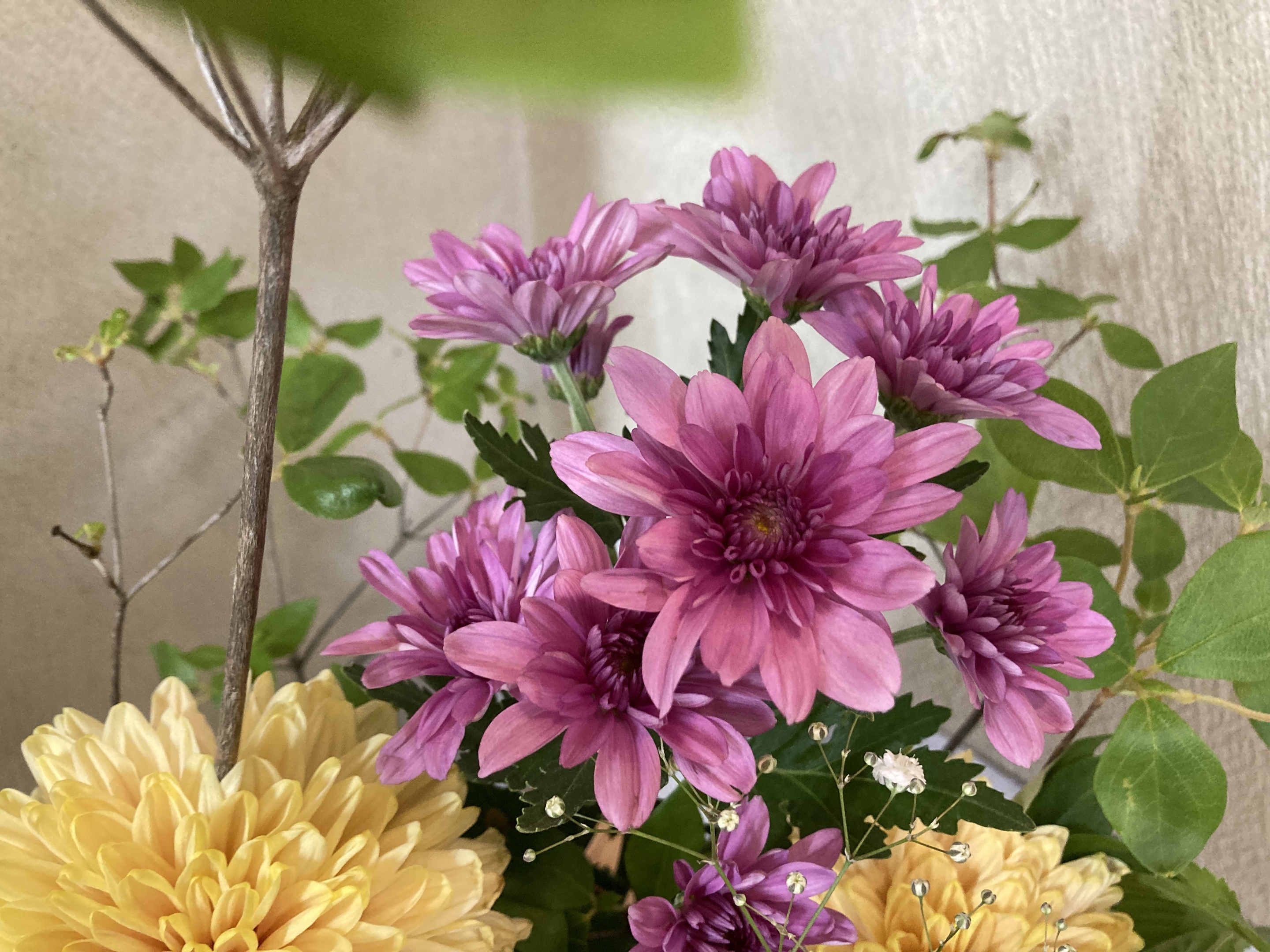 お花