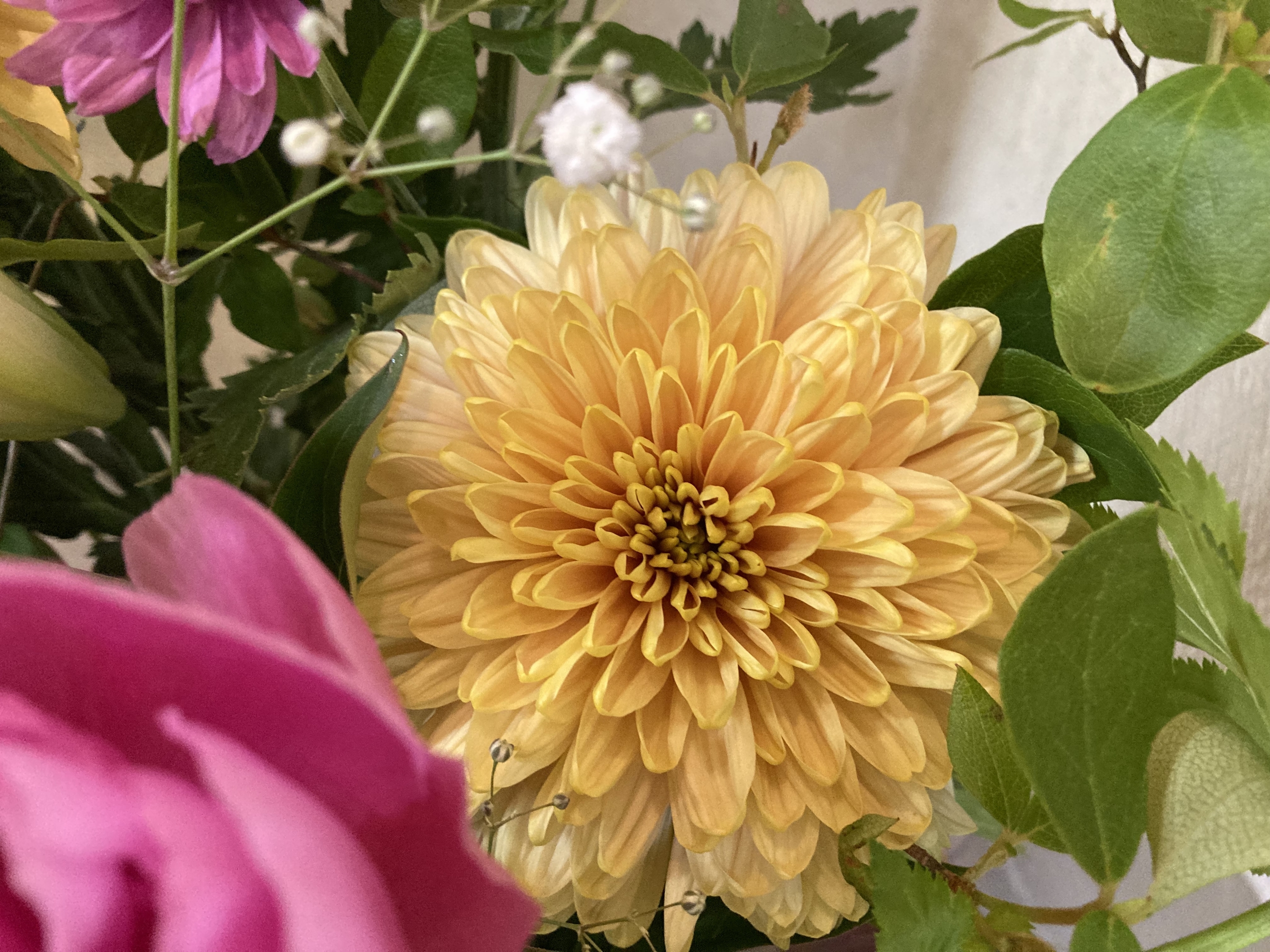 お花