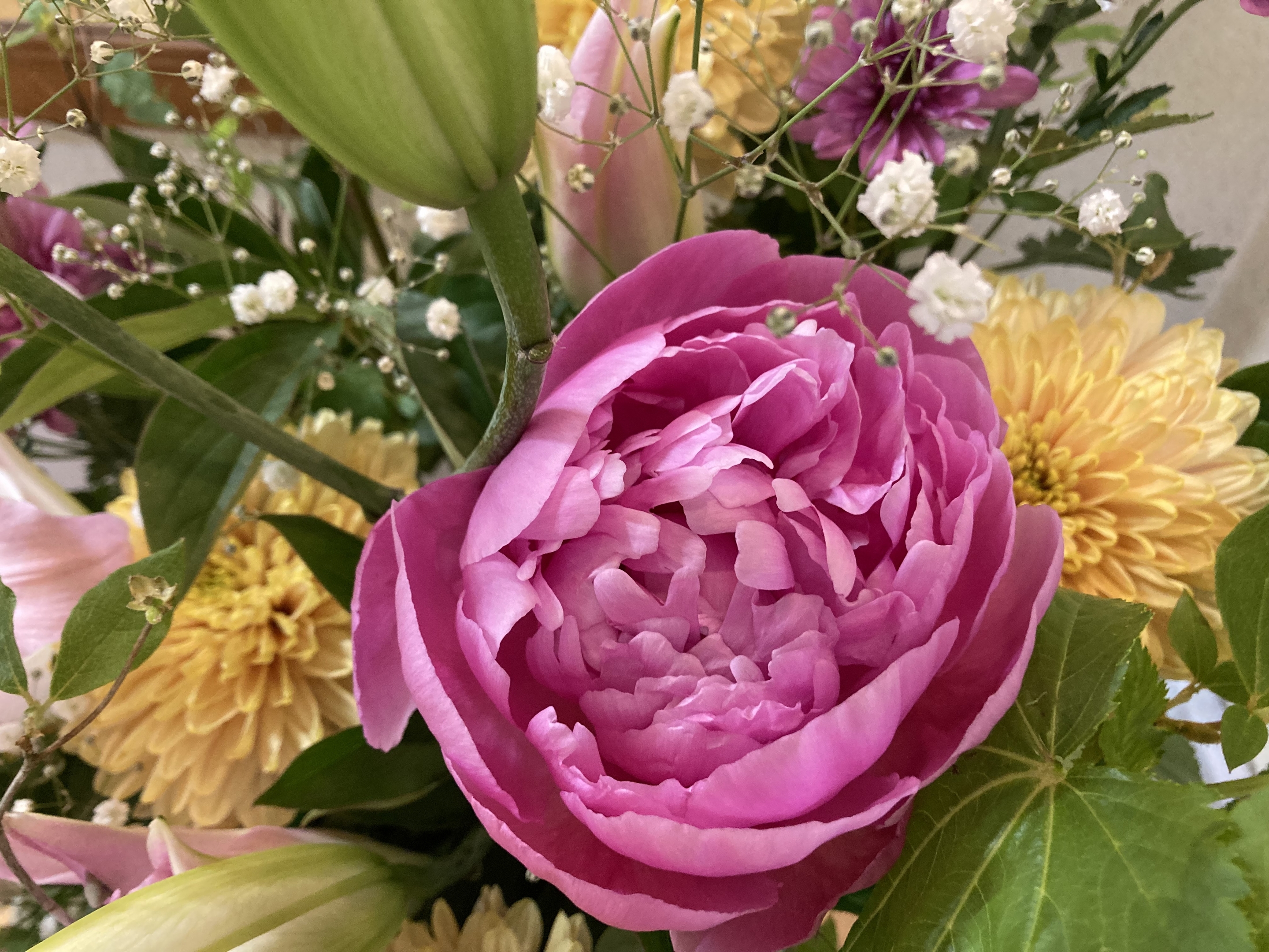 お花