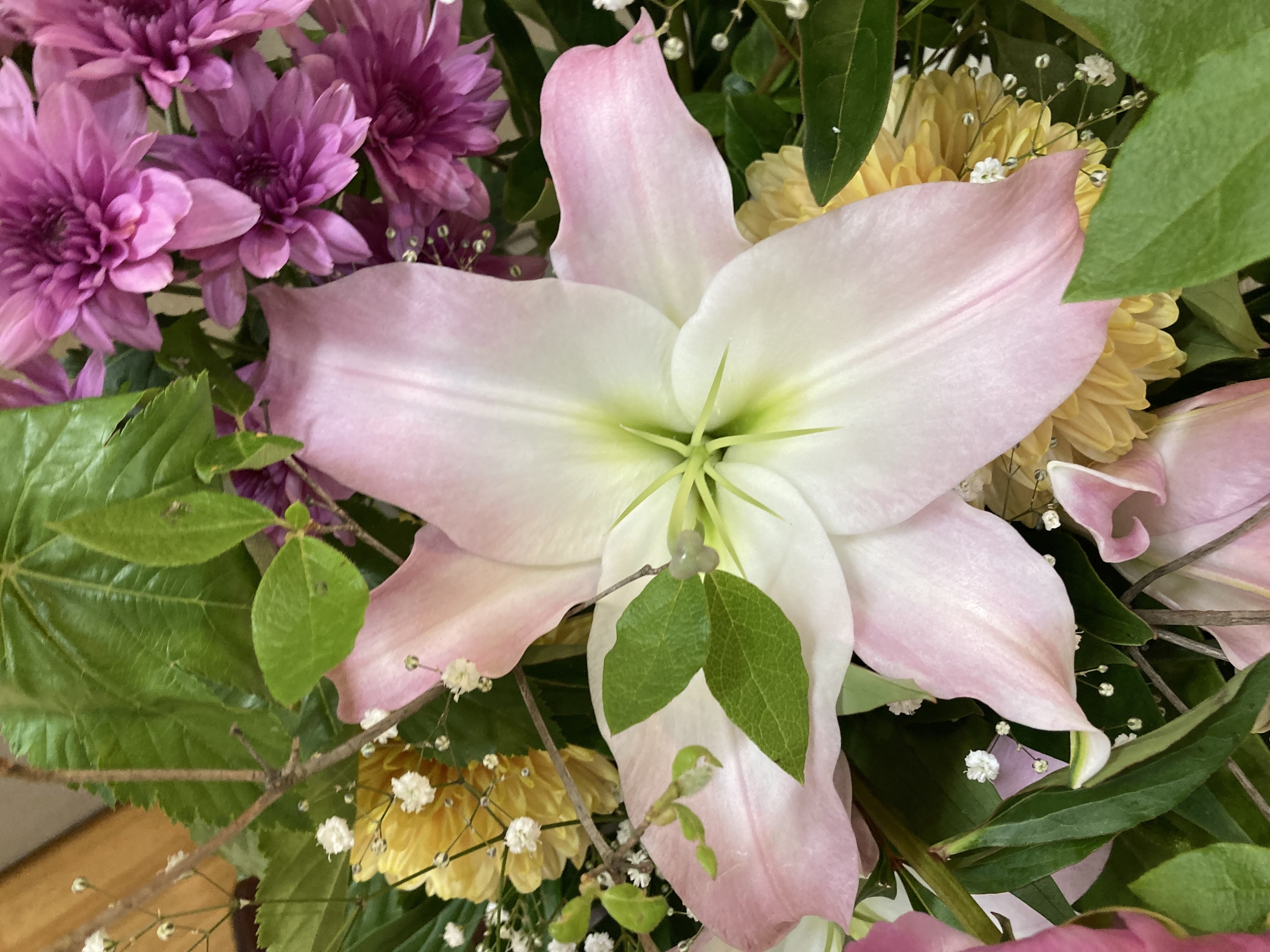 お花