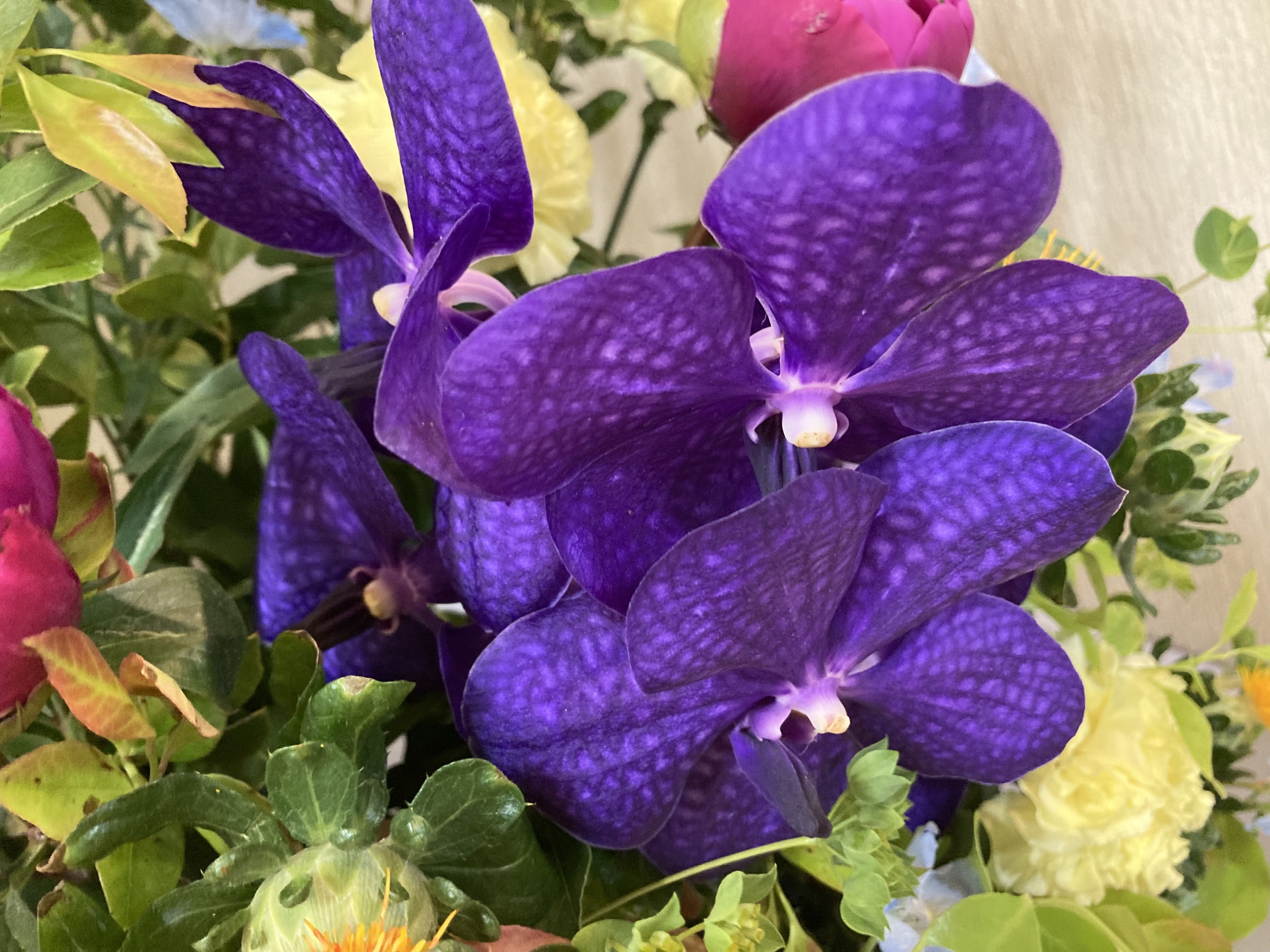 お花