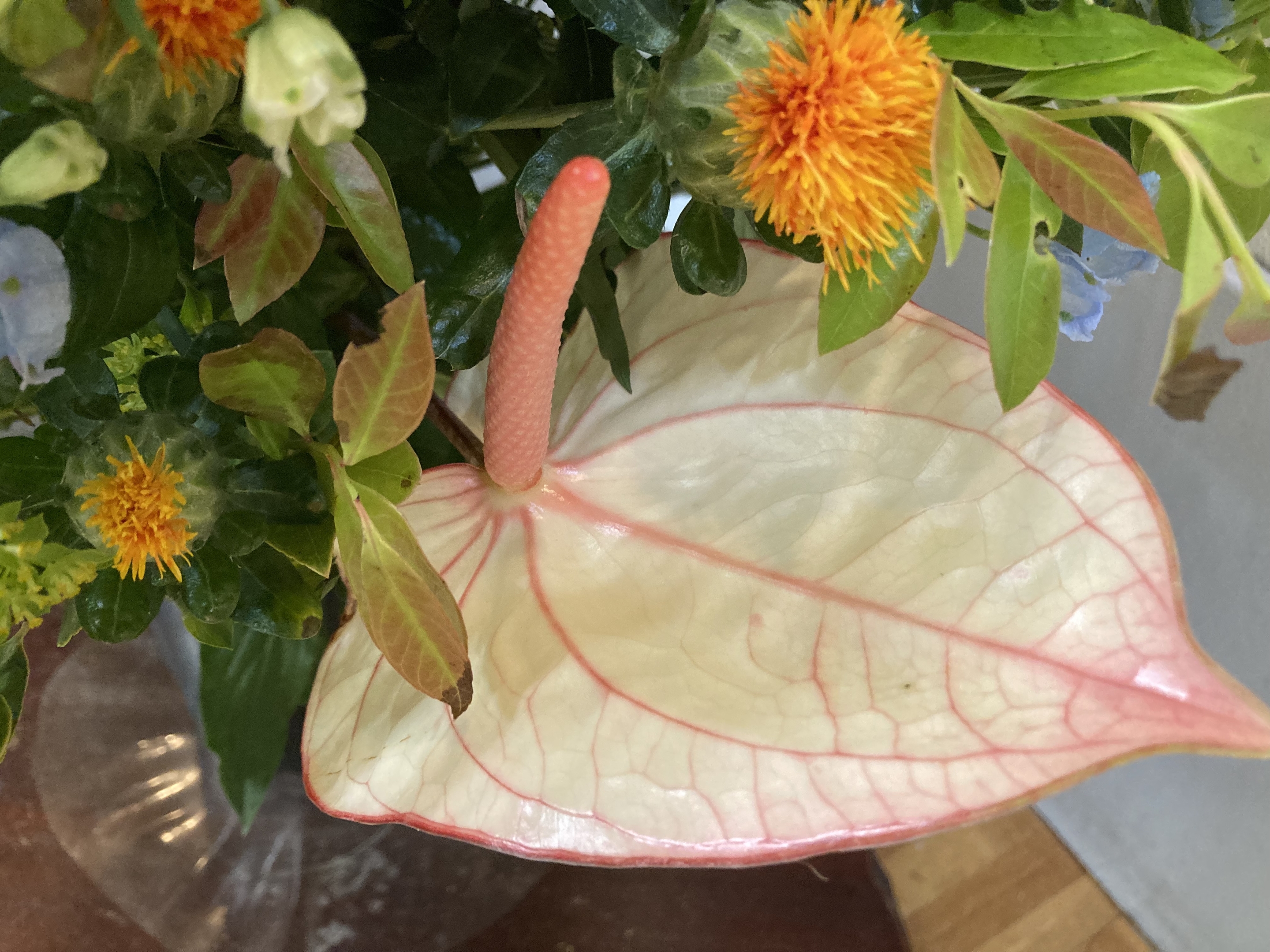 お花