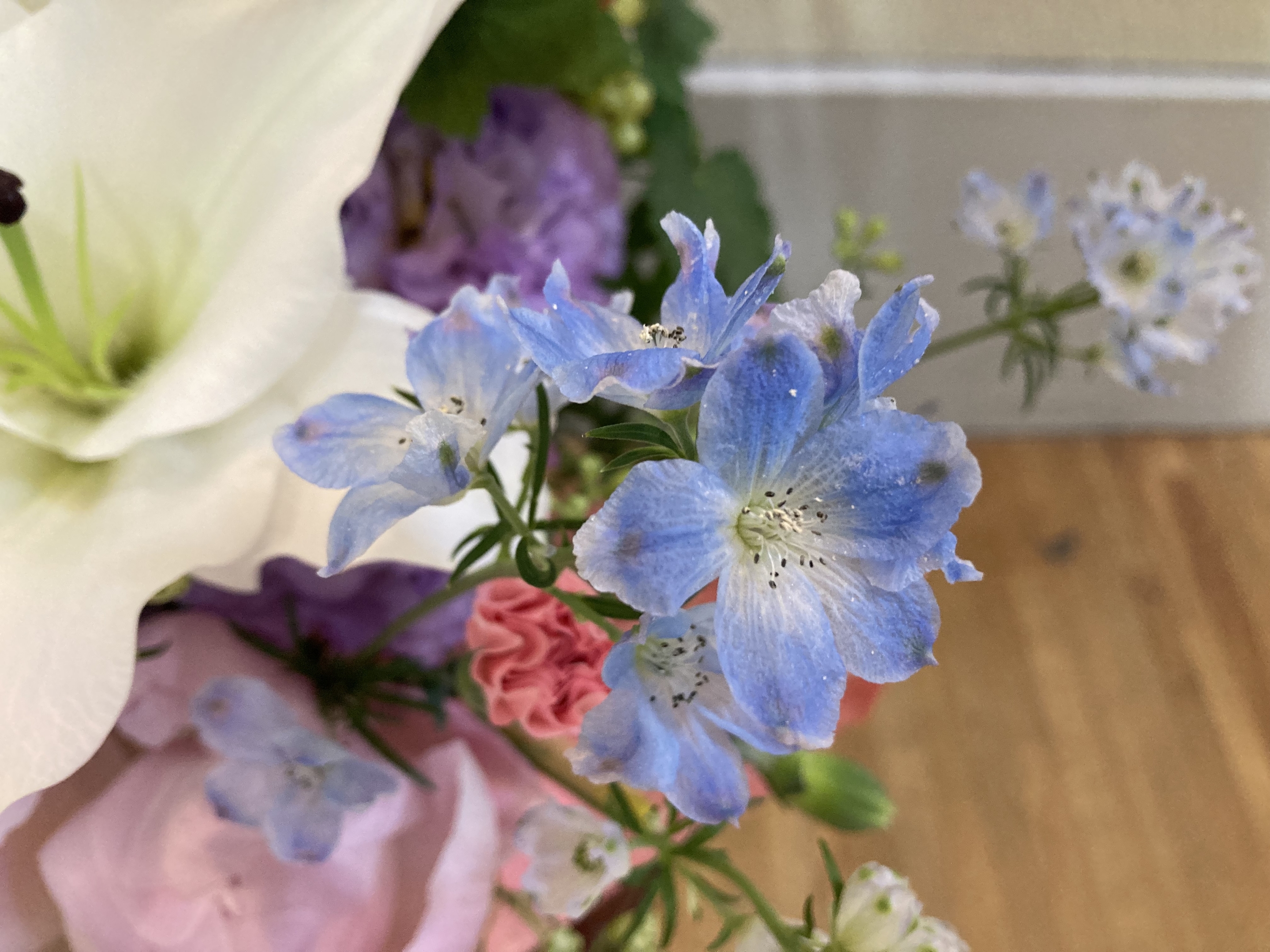 お花