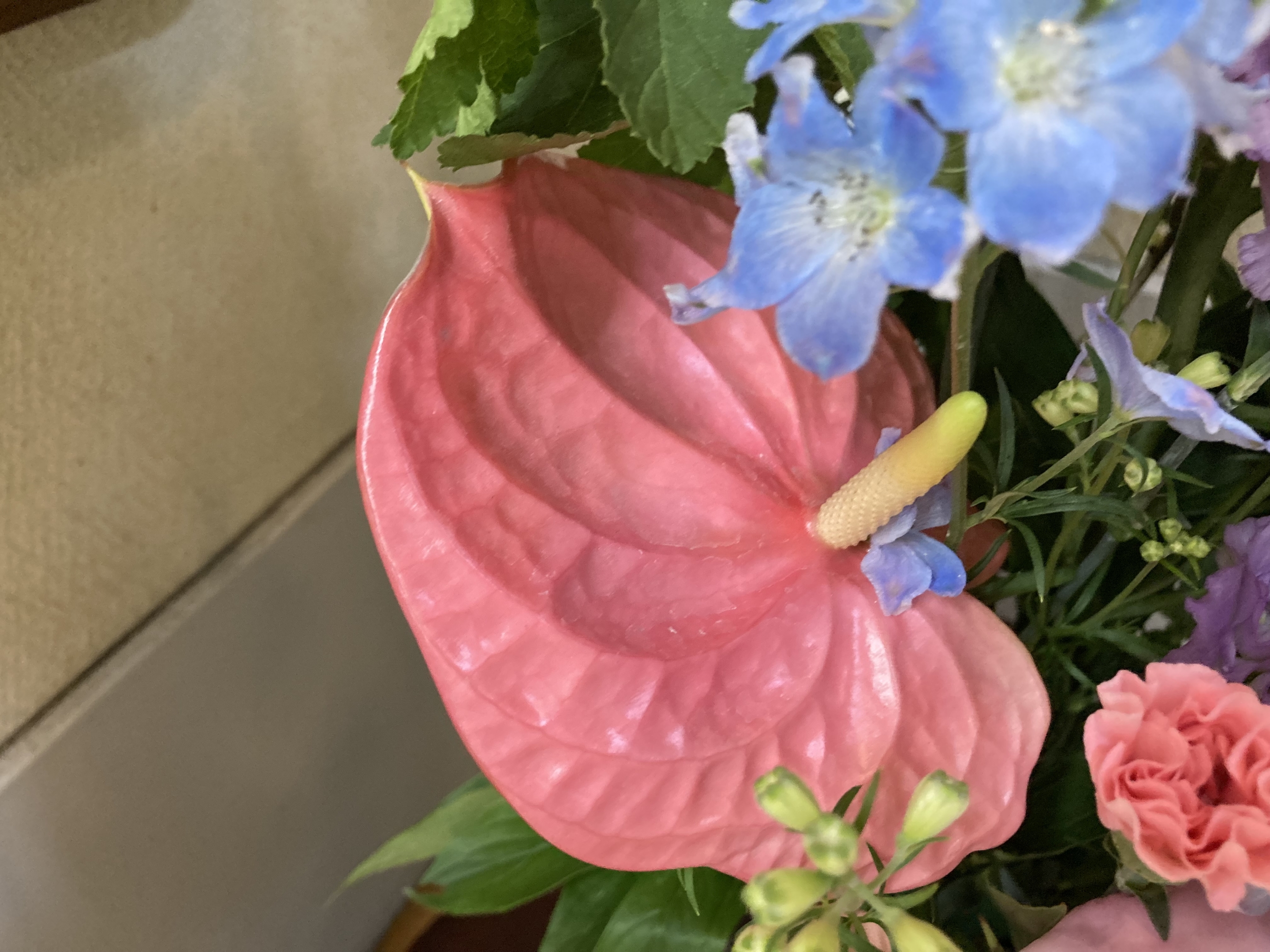 お花