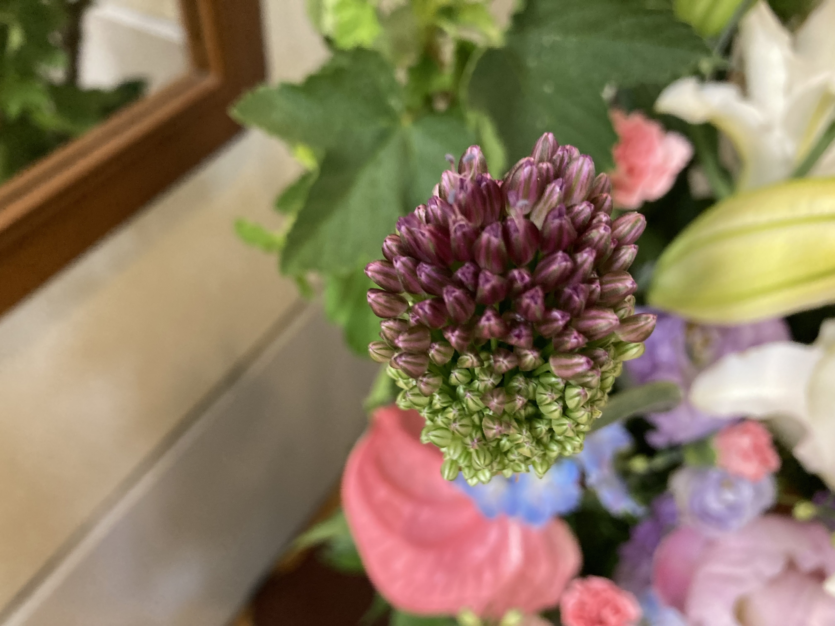 お花