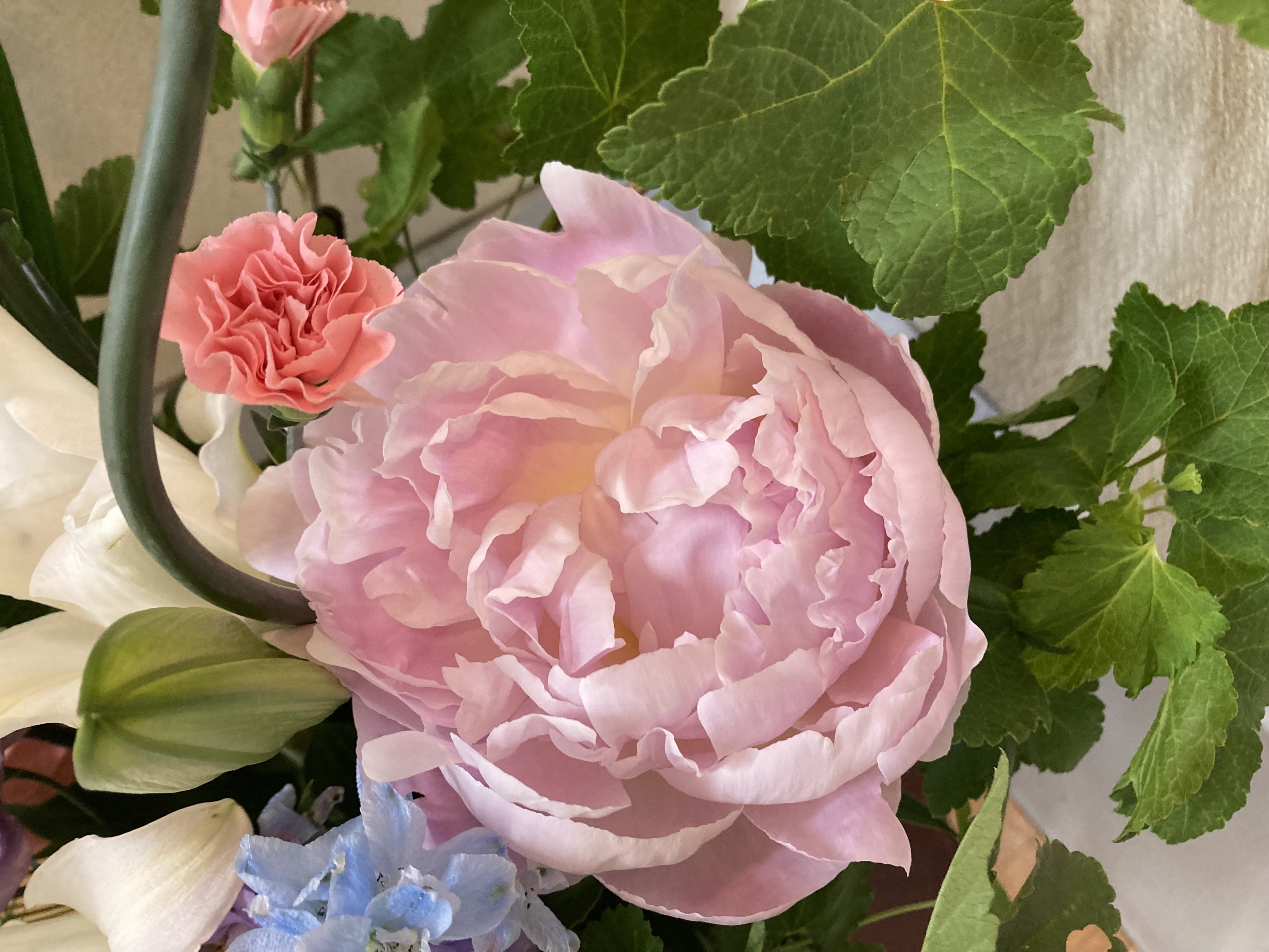 お花