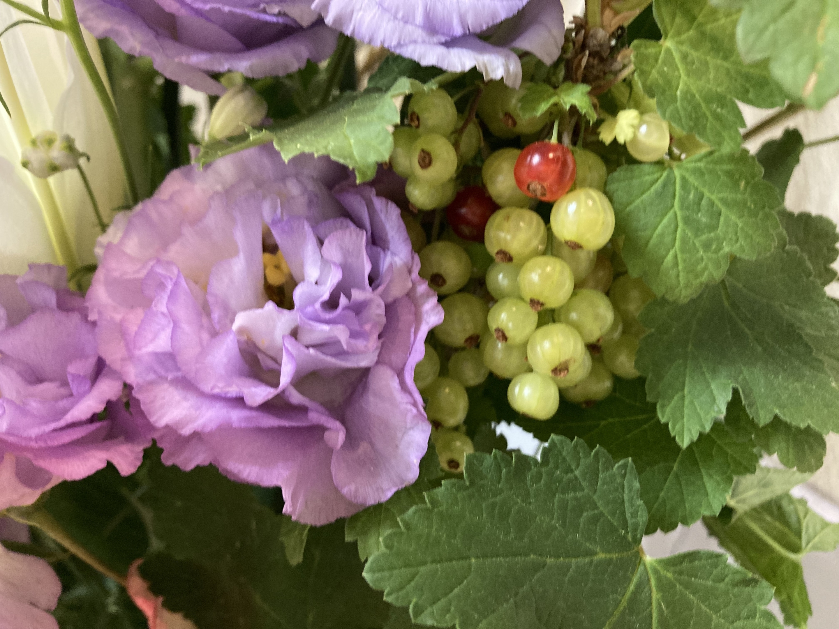 お花