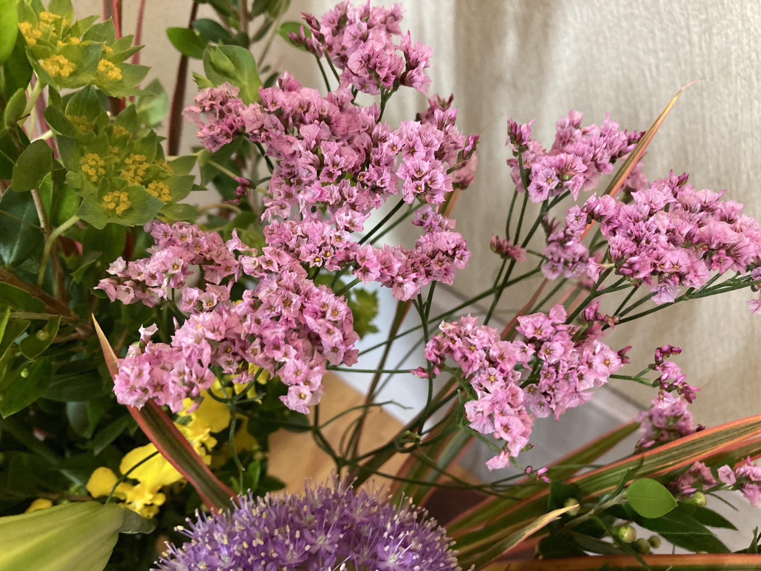 お花
