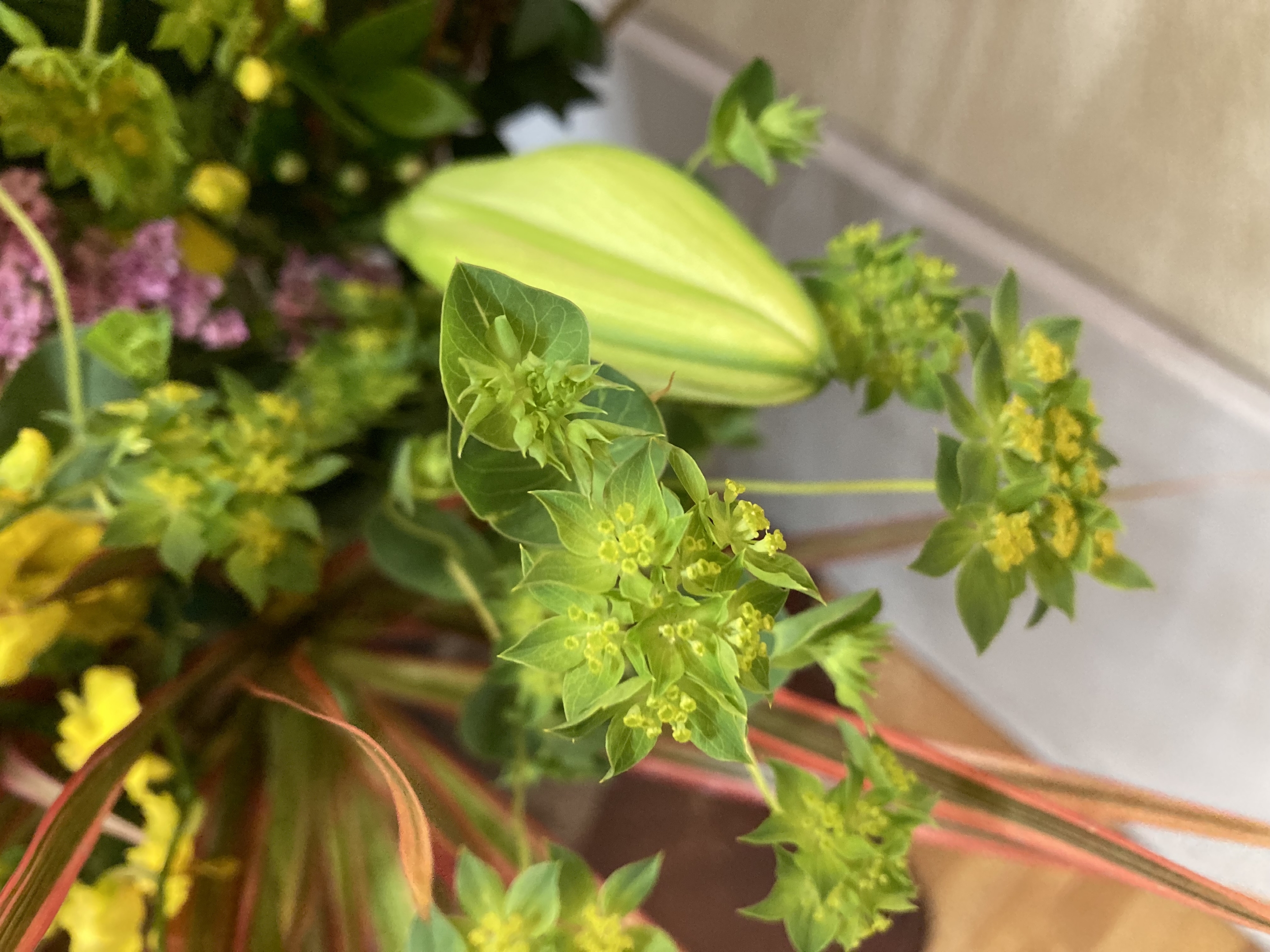 お花