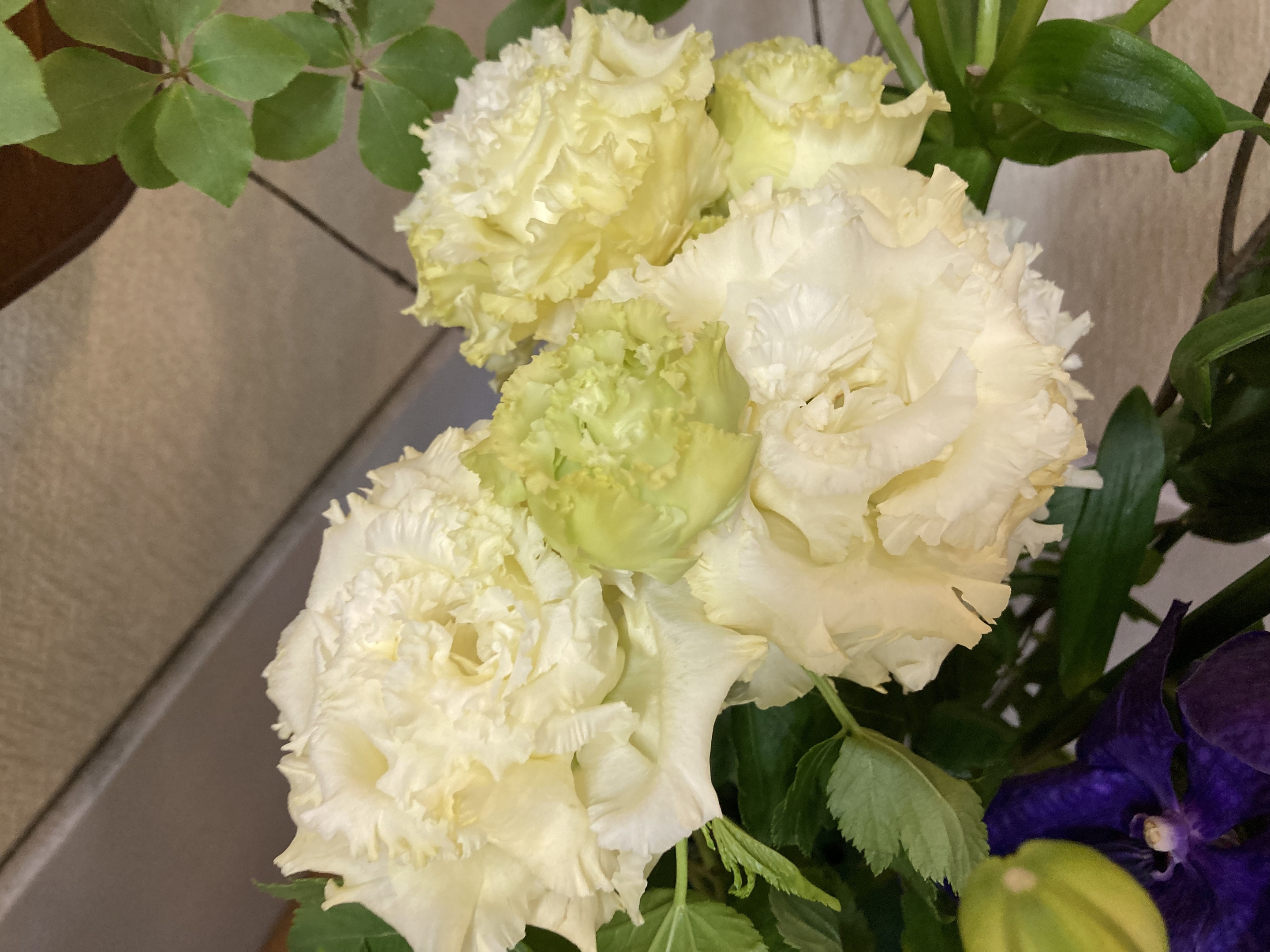 お花