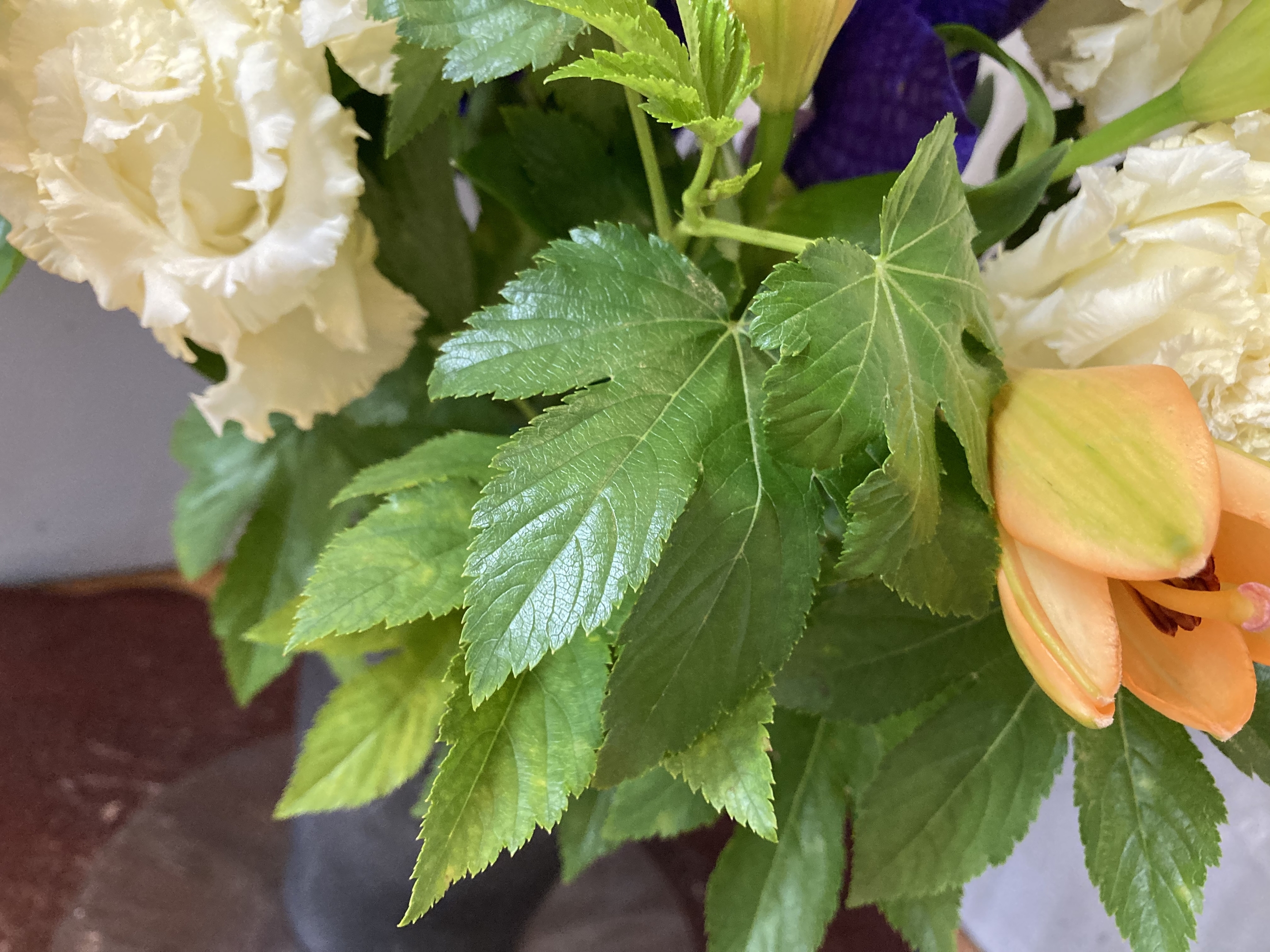 お花