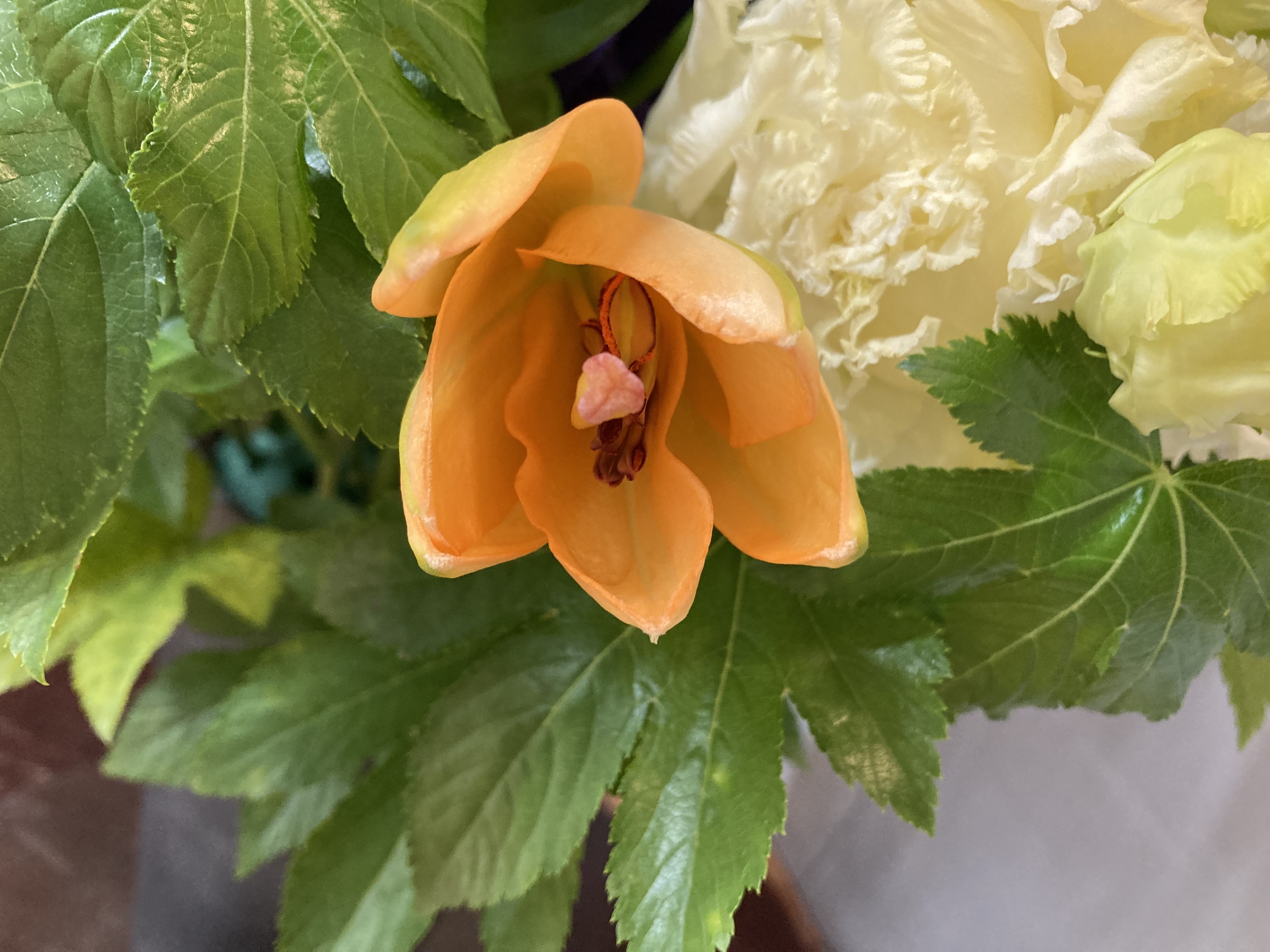 お花