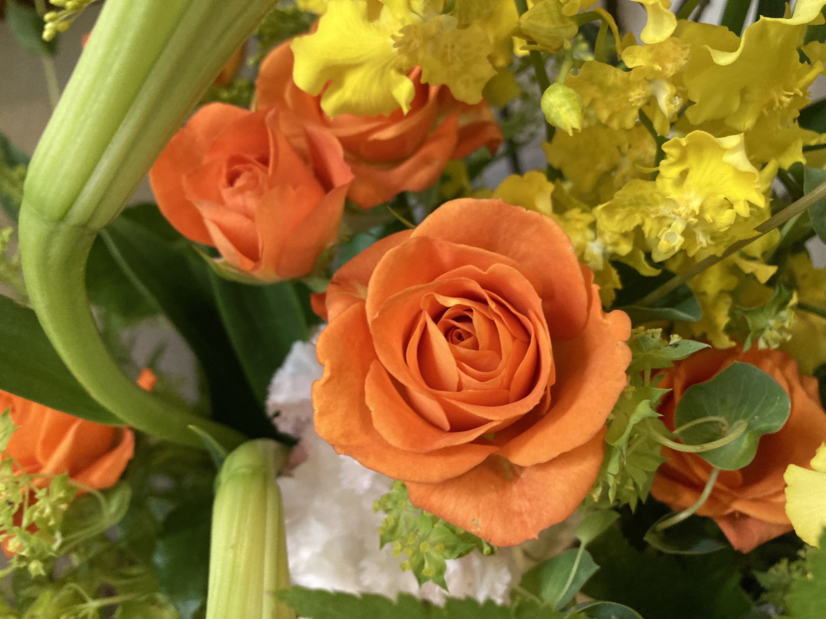 お花
