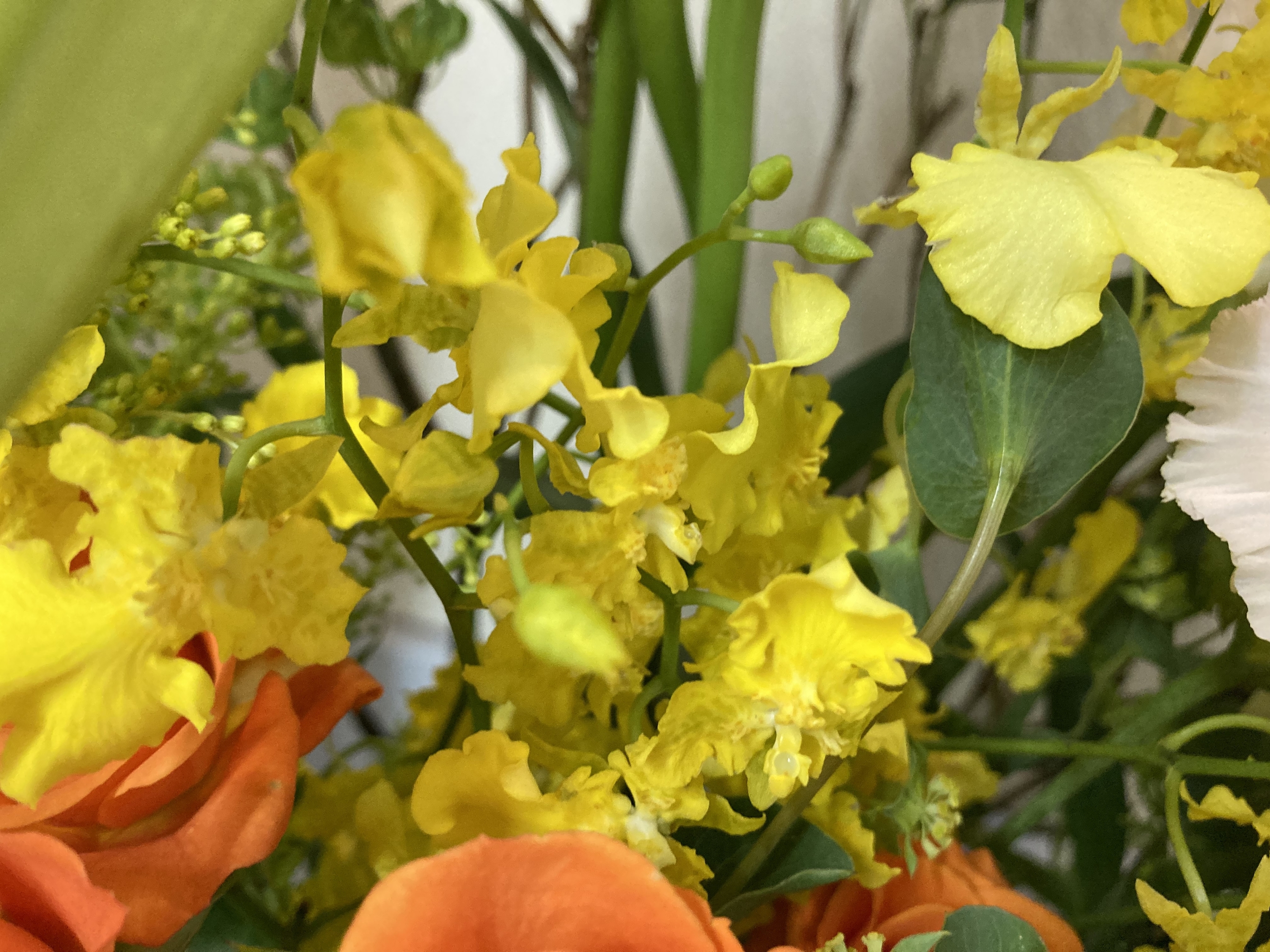 お花