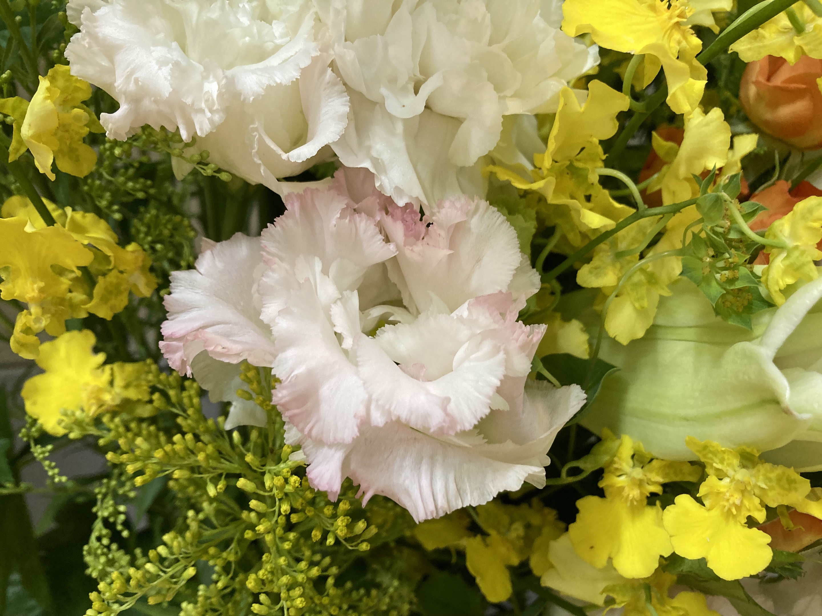 お花
