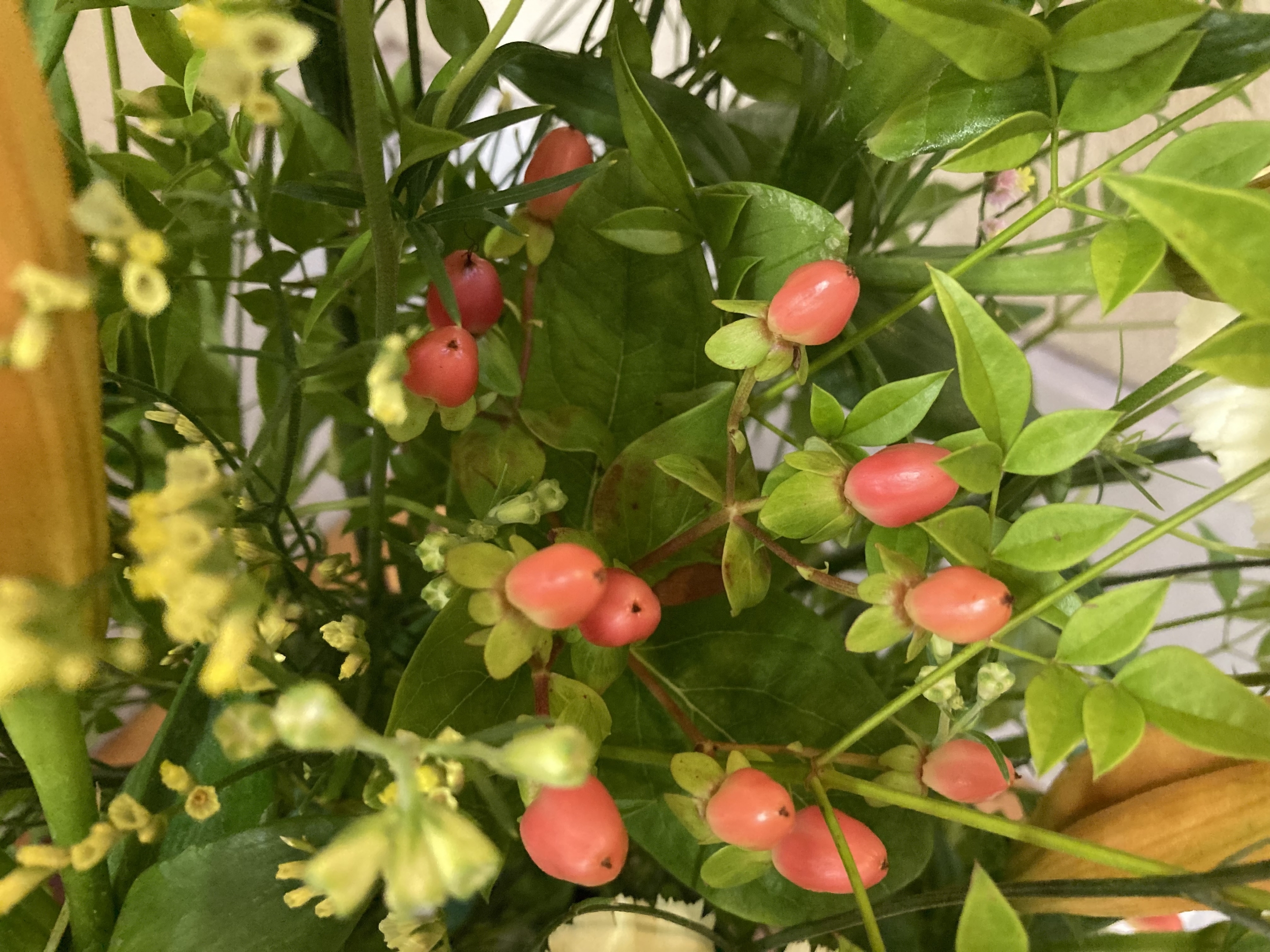 お花