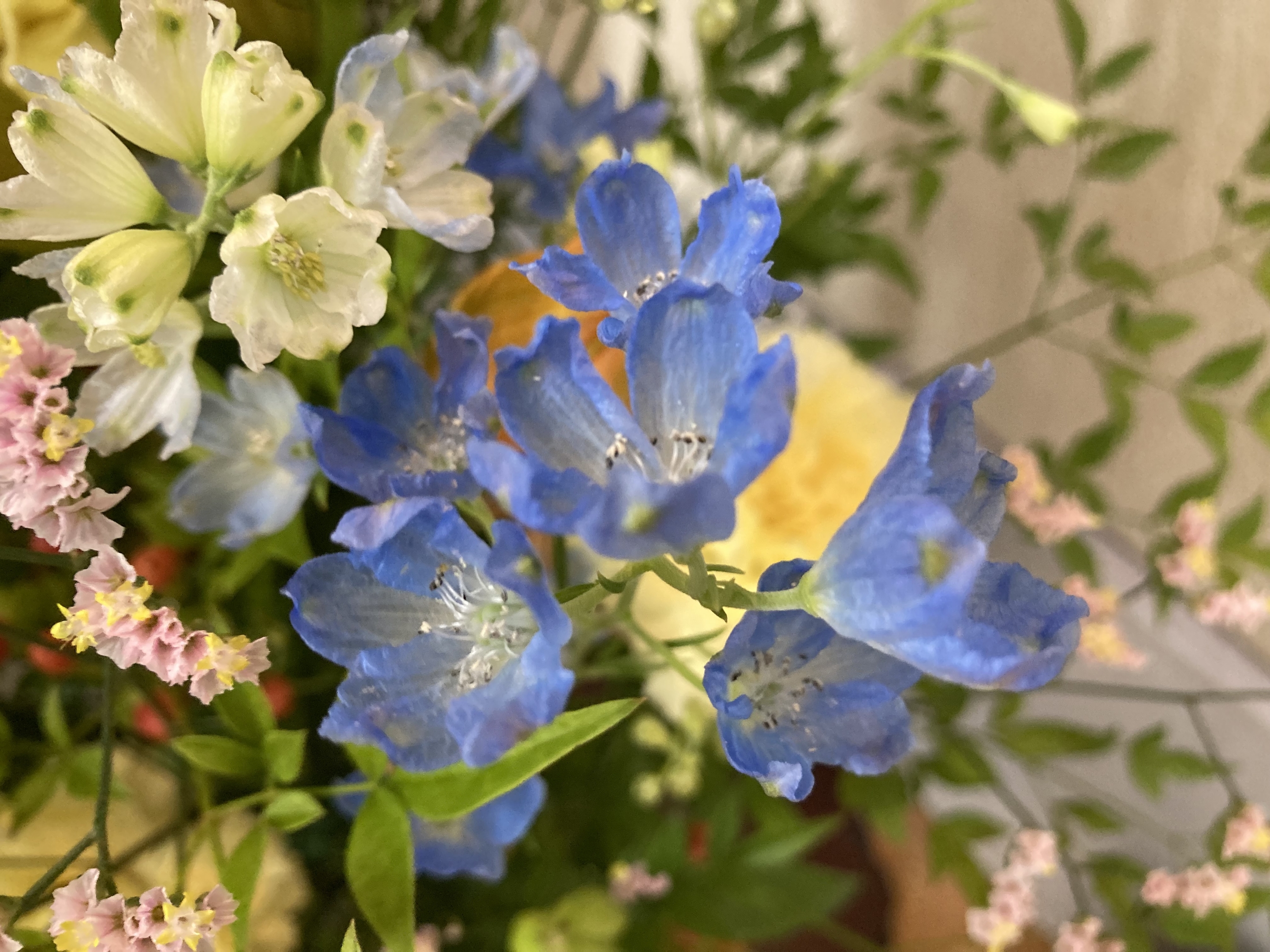 お花
