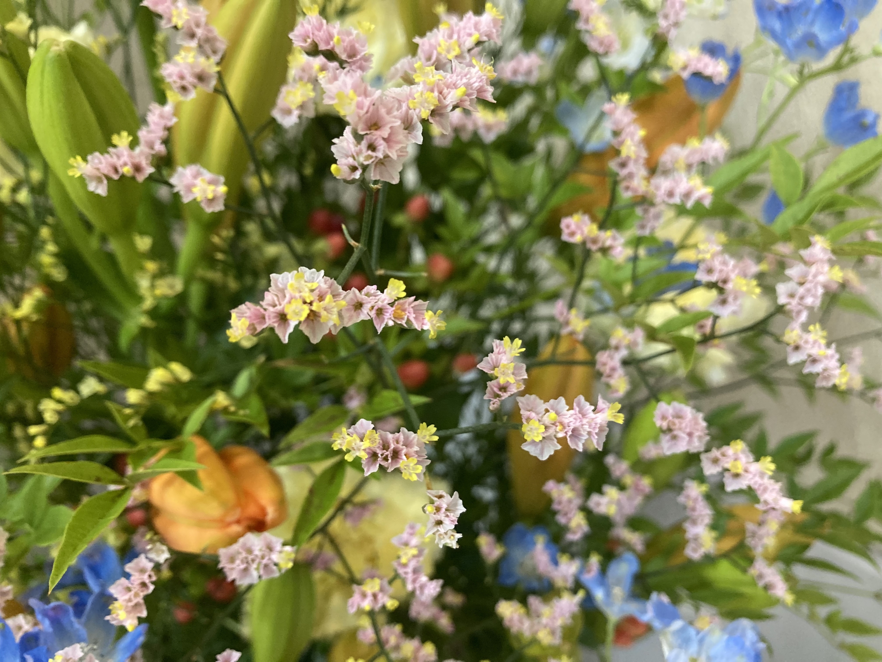 お花