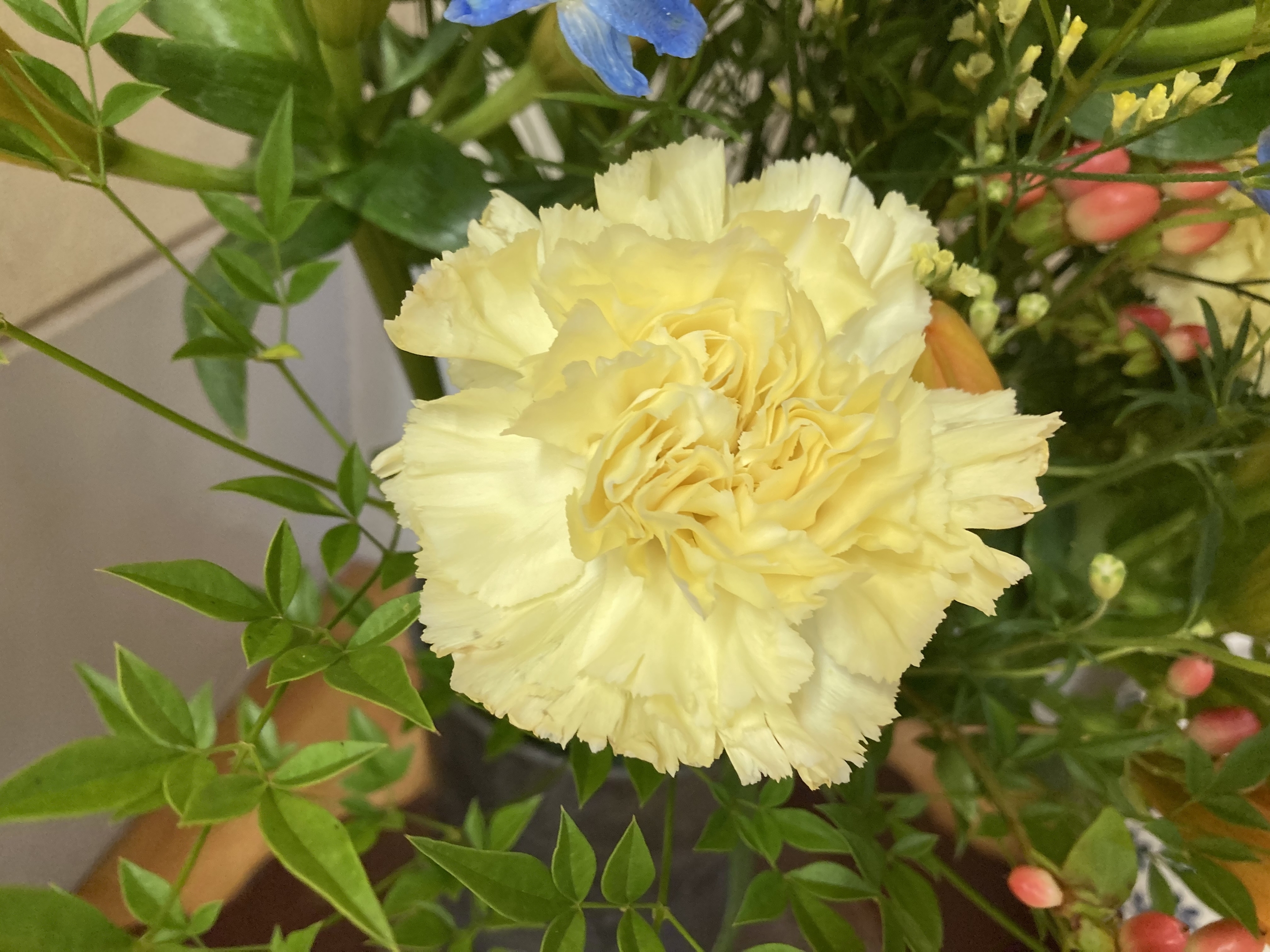 お花
