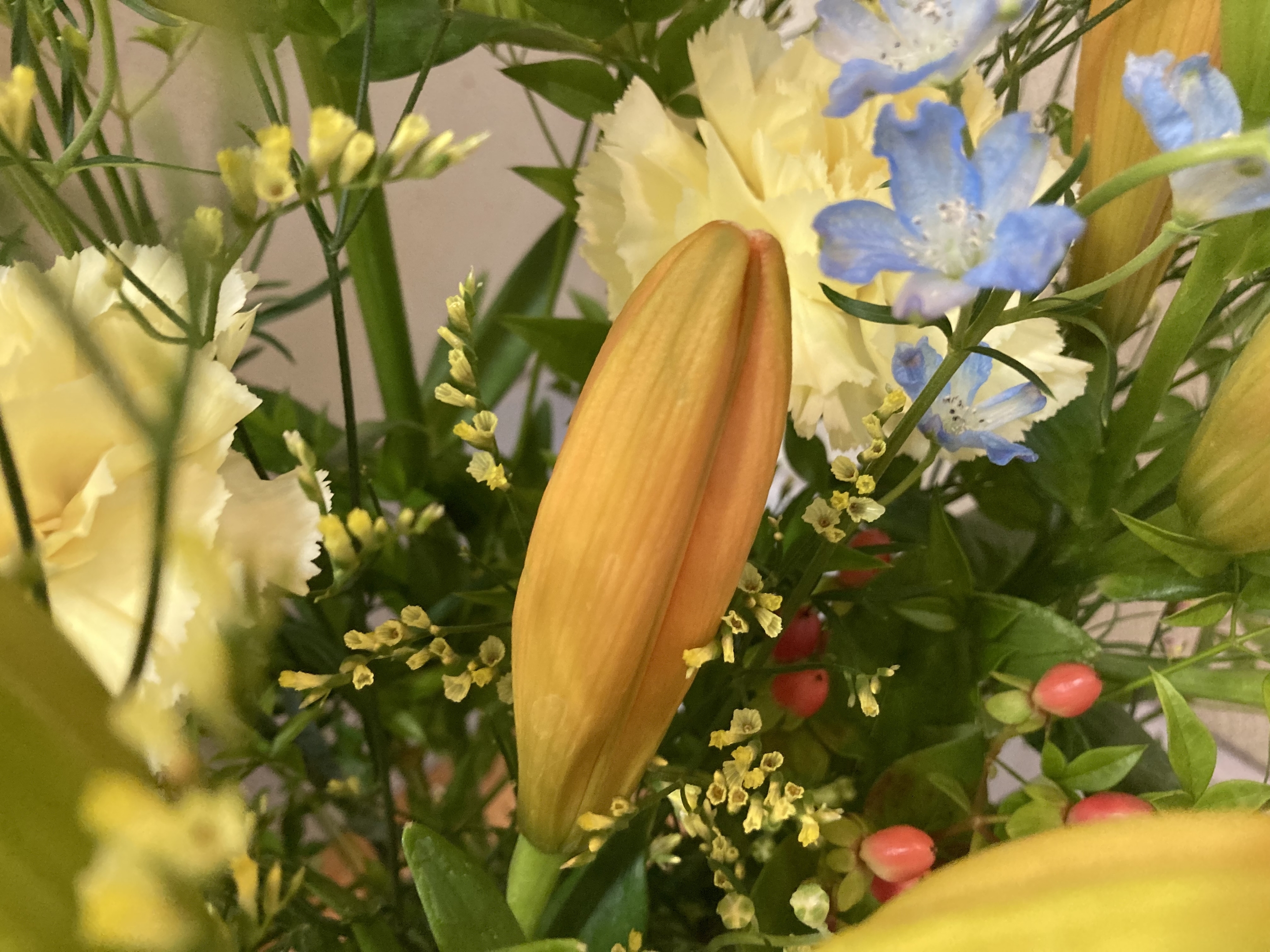 お花