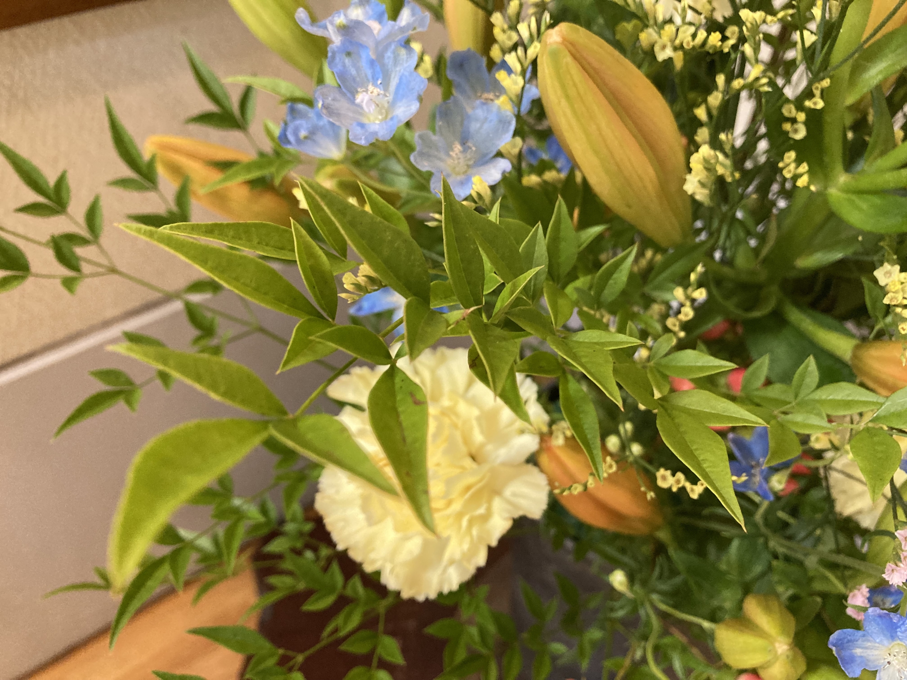お花