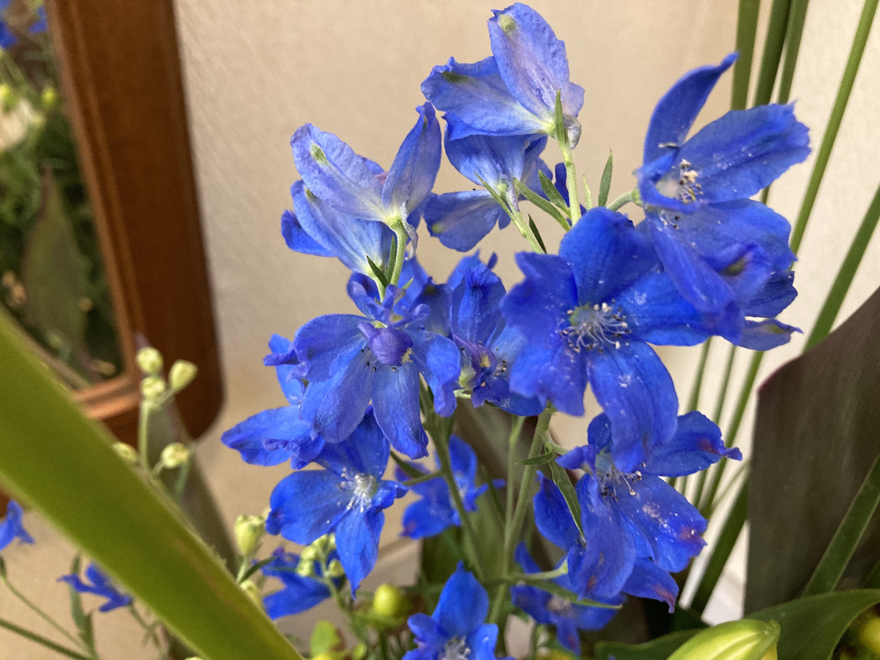 お花