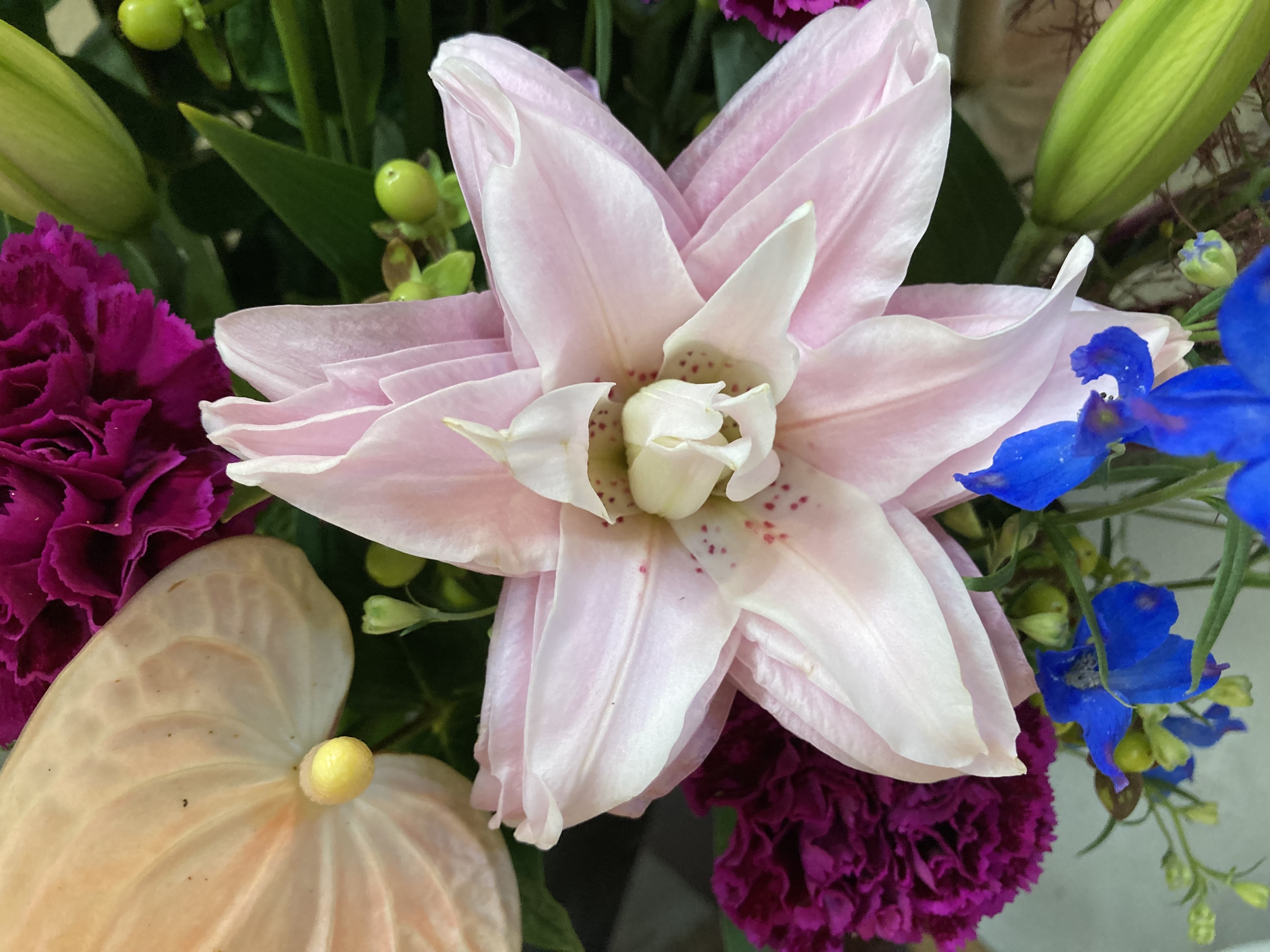 お花
