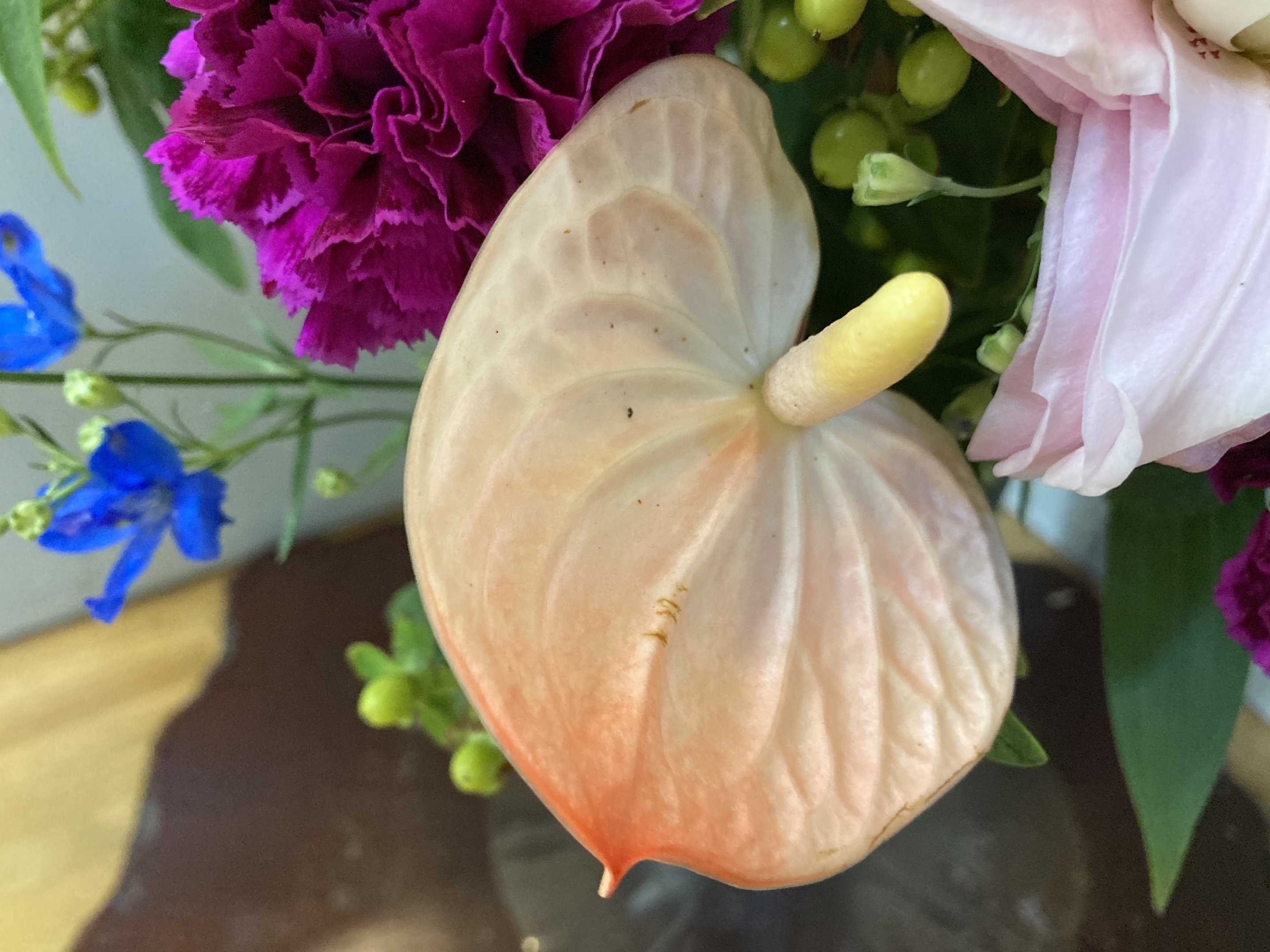お花