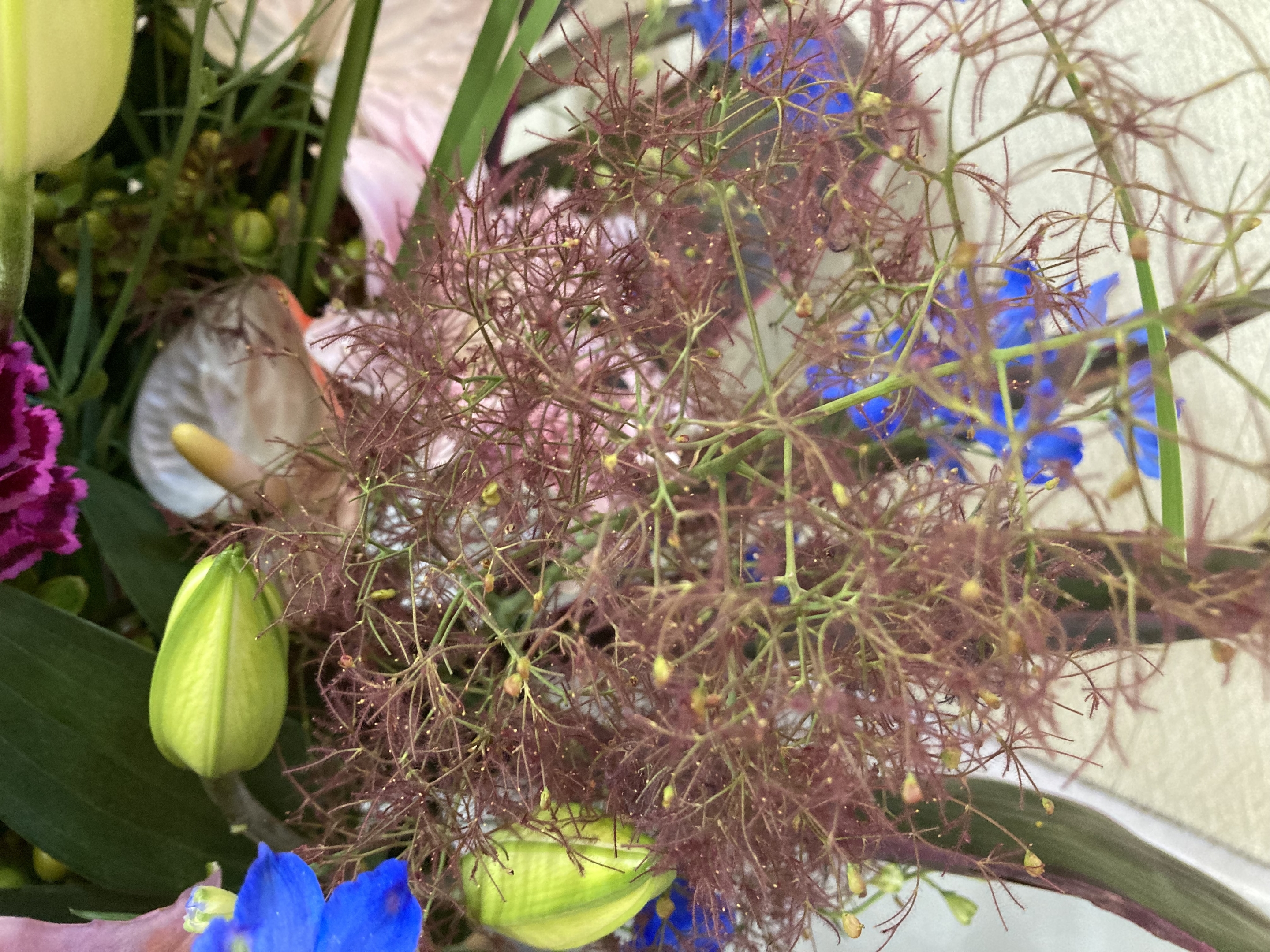 お花